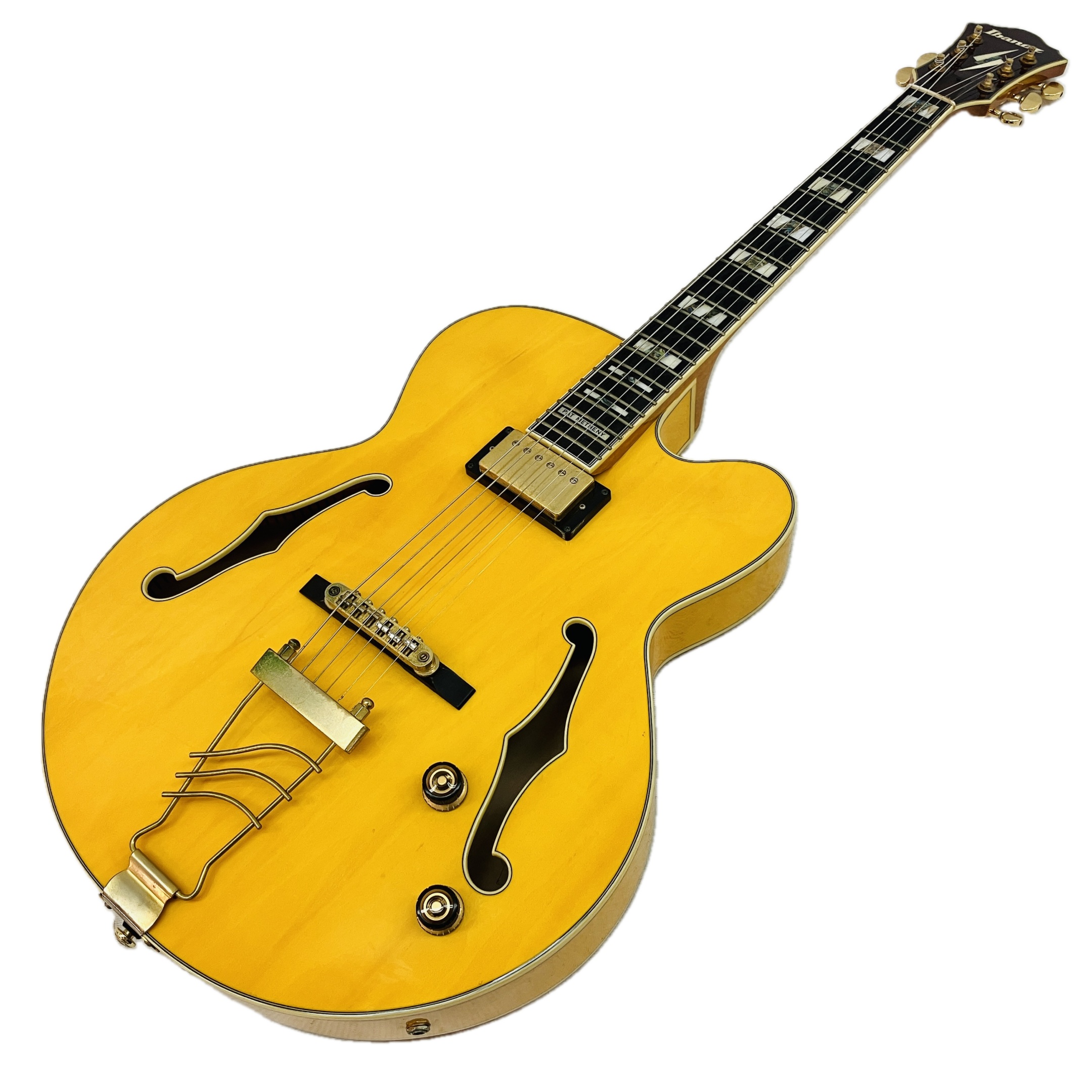 IBANEZ PM2-AA-12-01 フル アコースティック ギター