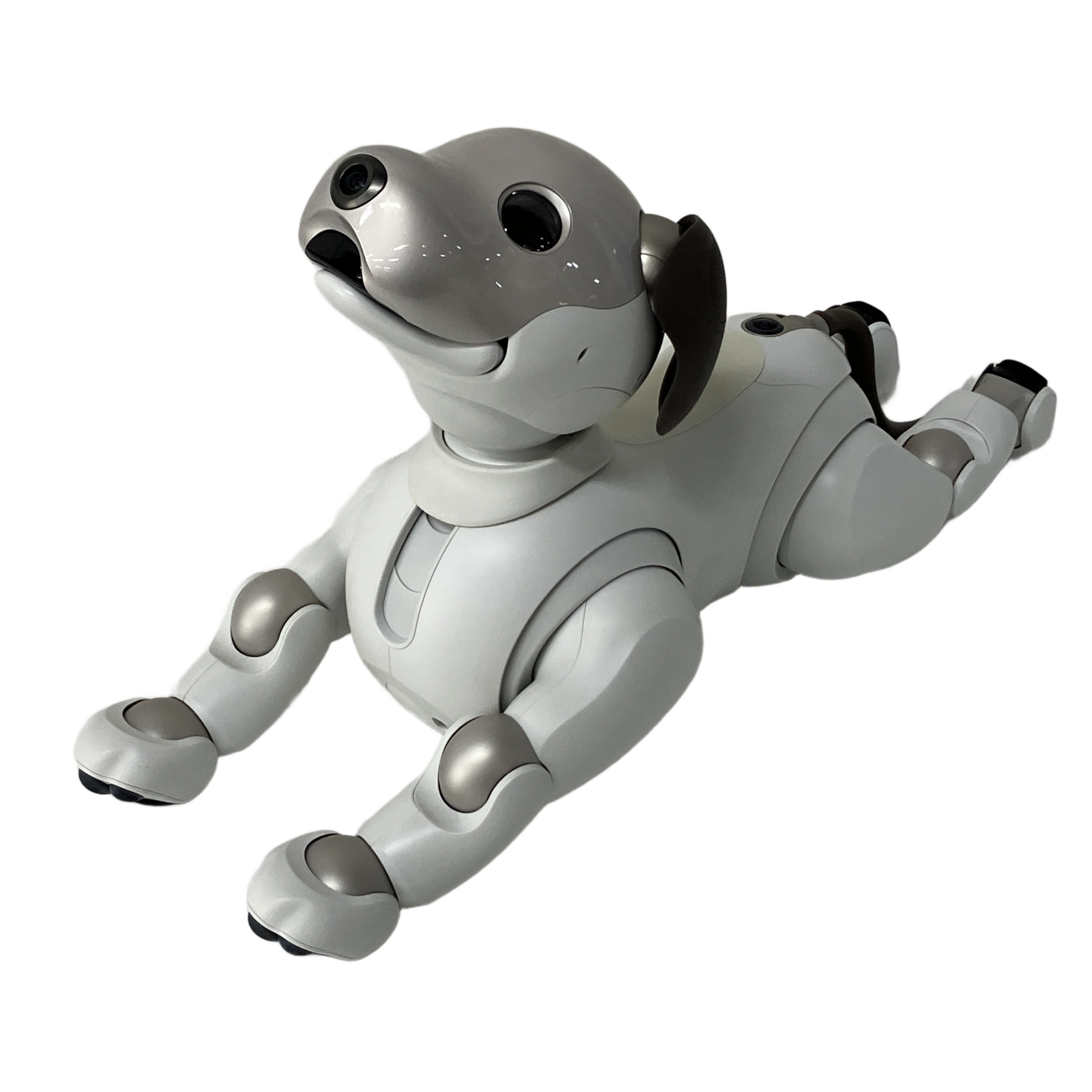 アイボ（aibo）出張買取｜全国対応＆出張料0円！-出張高く売れるドットコム