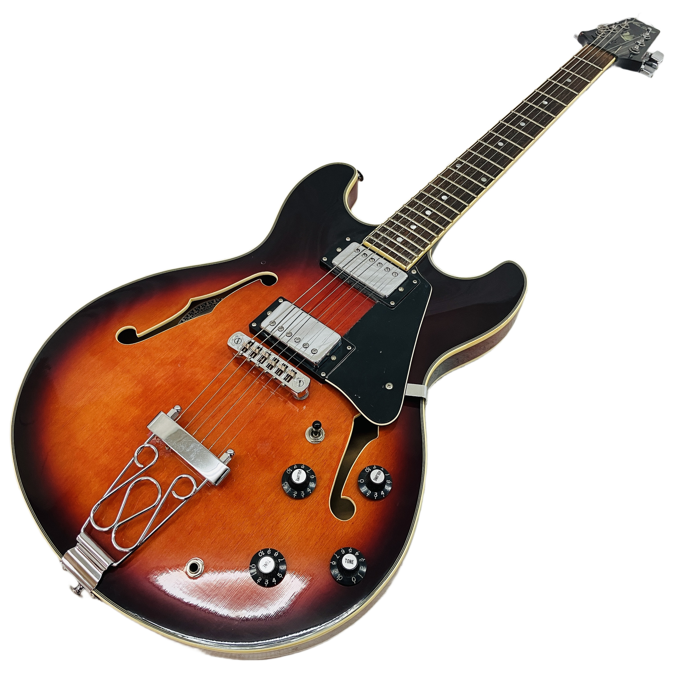 Aria Pro II TA-01 セミアコースティックギター