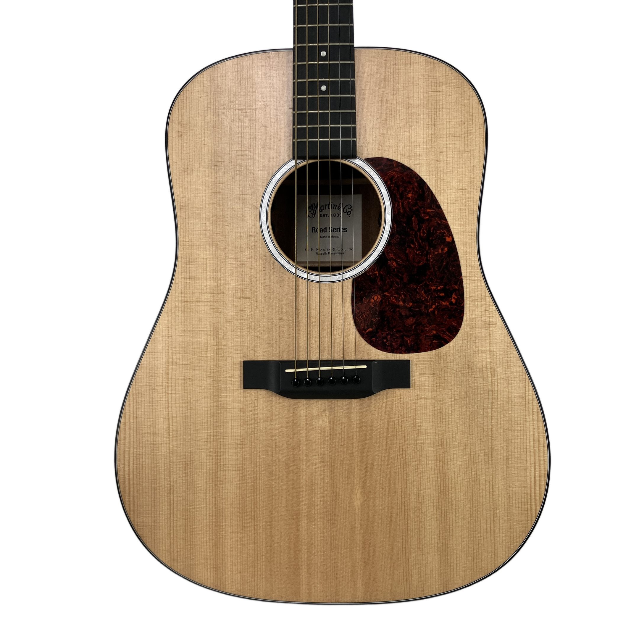 MARTIN D-10 エレアコ ギター