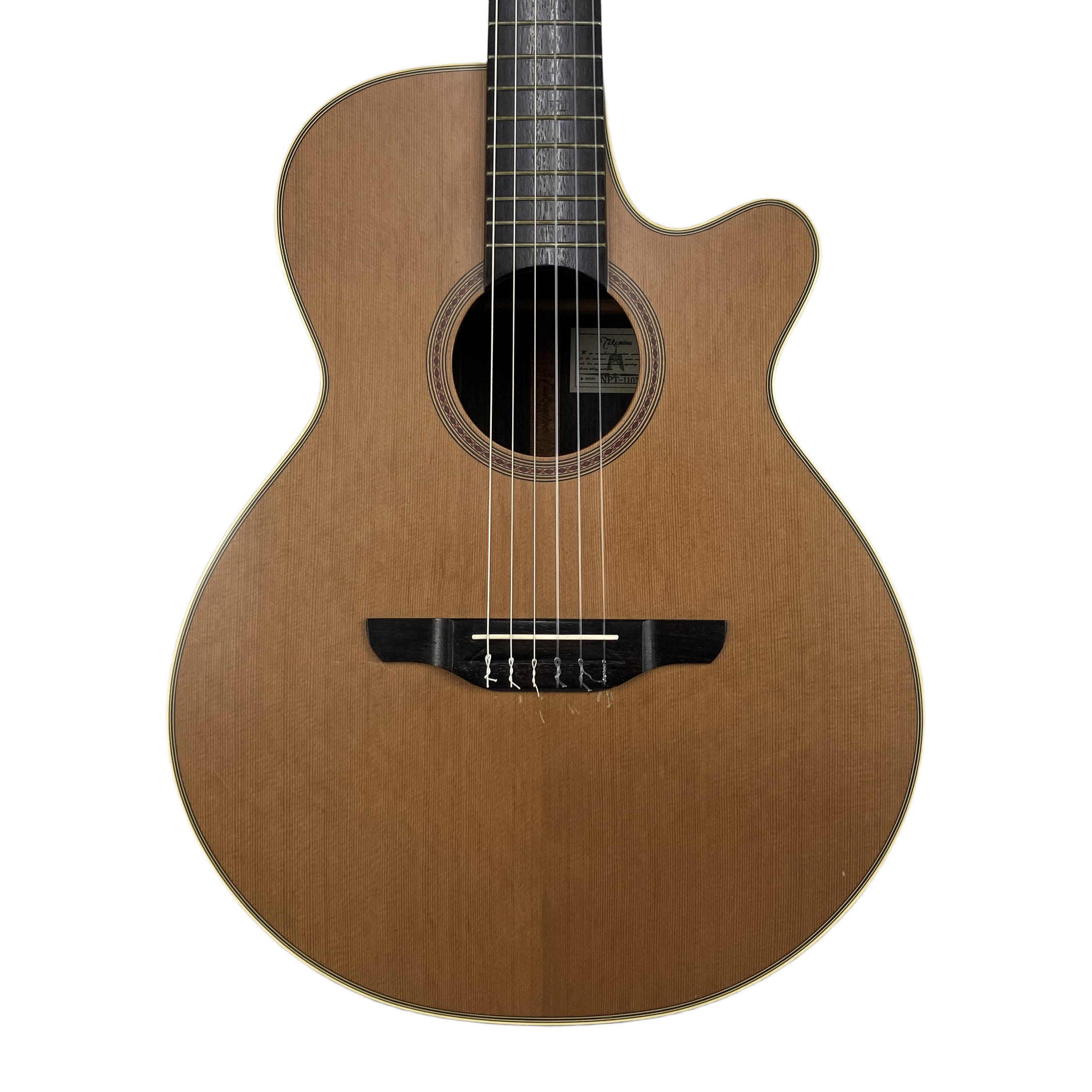 TAKAMINE NPT-110N エレガット ギター