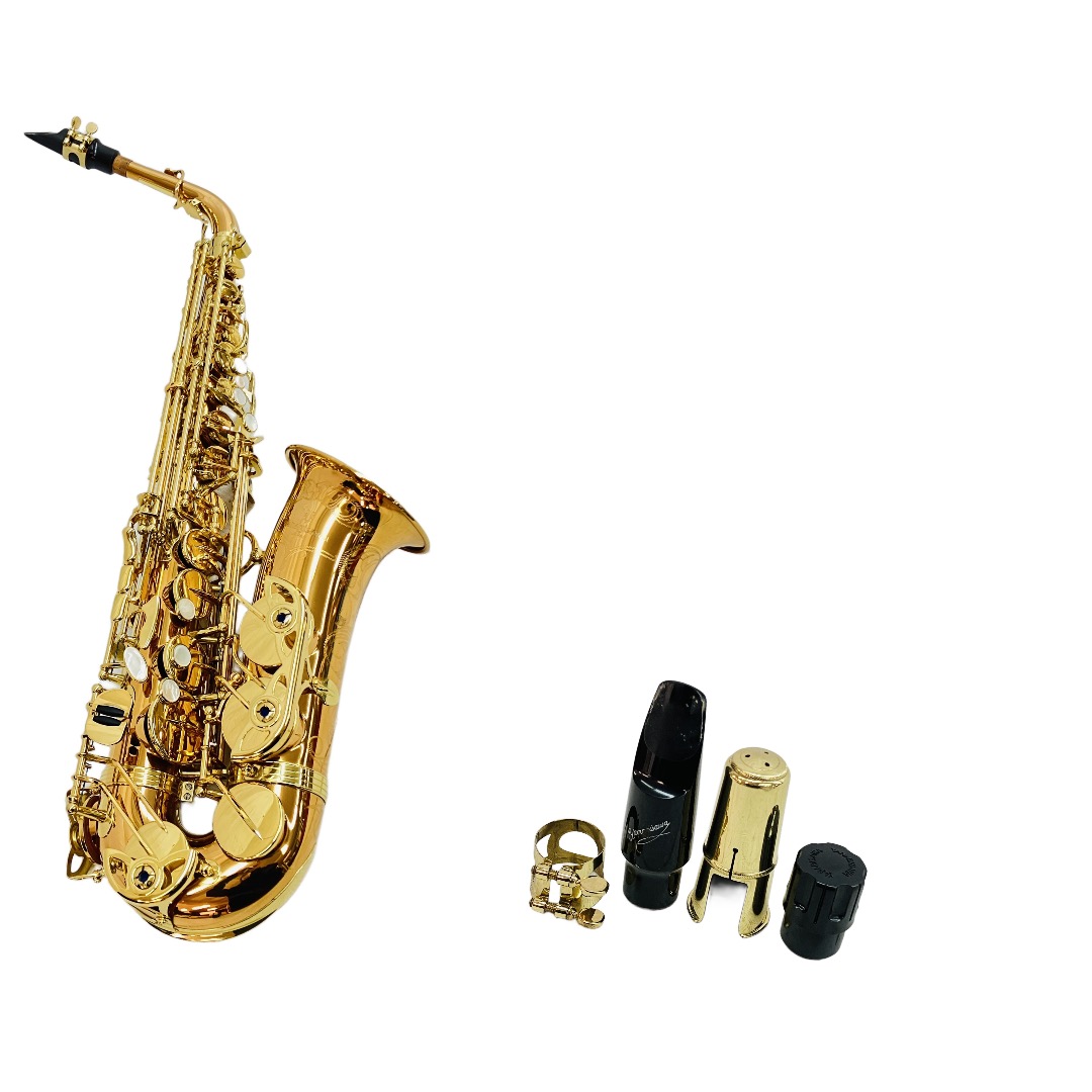 YANAGISAWA A-WO20 アルトサックス