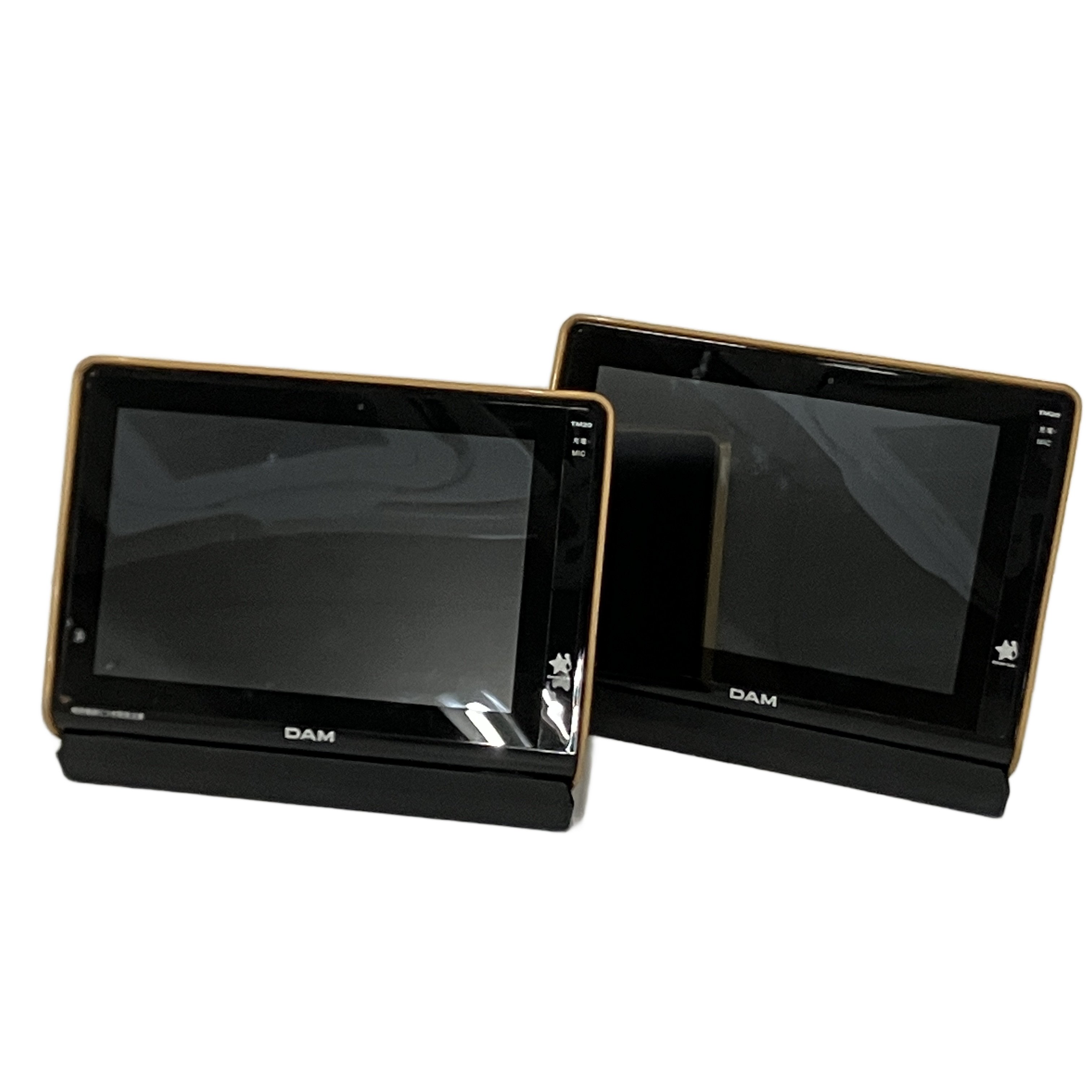 第一興商 TM20 デンモク