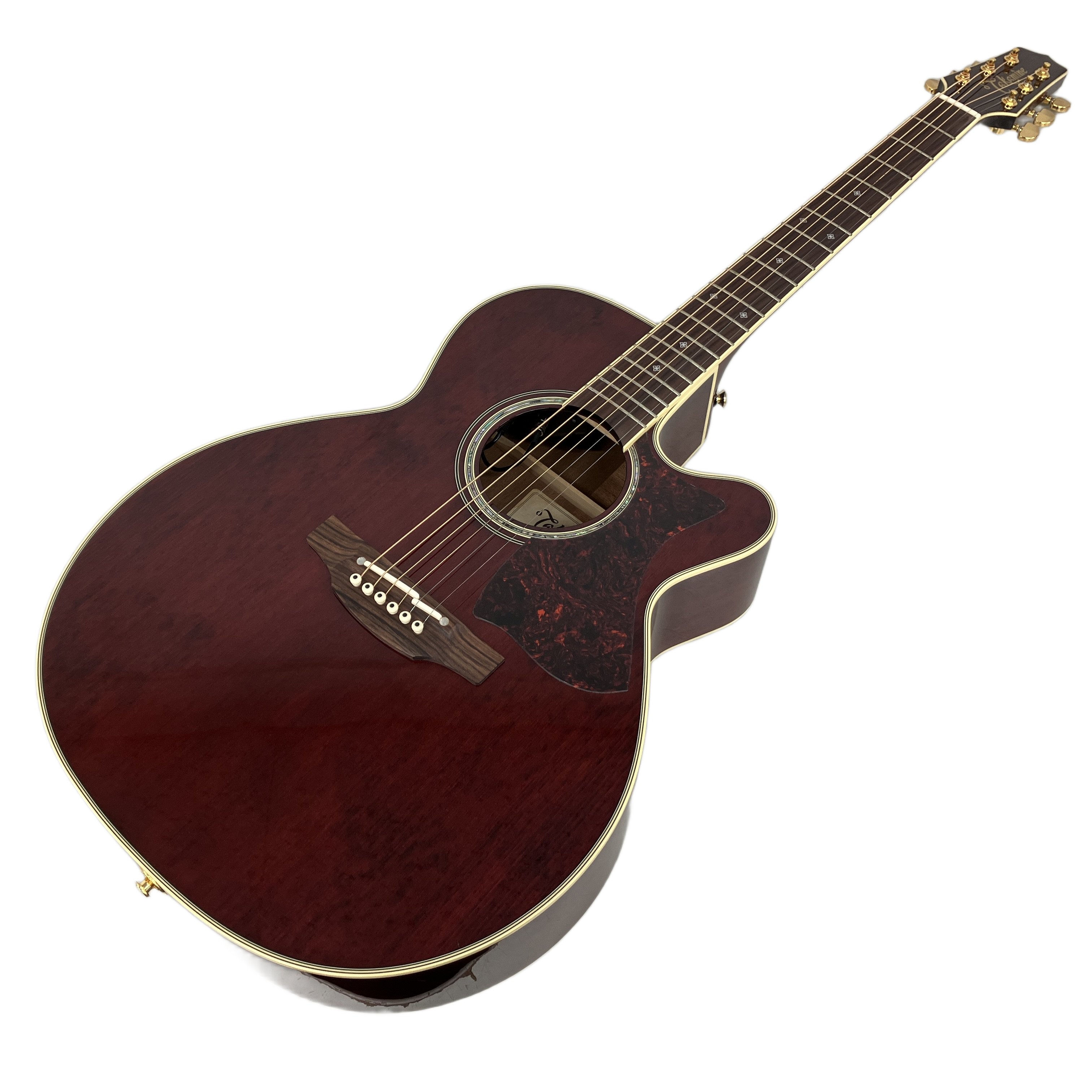 Takamine DMP551C WR エレアコ ギター