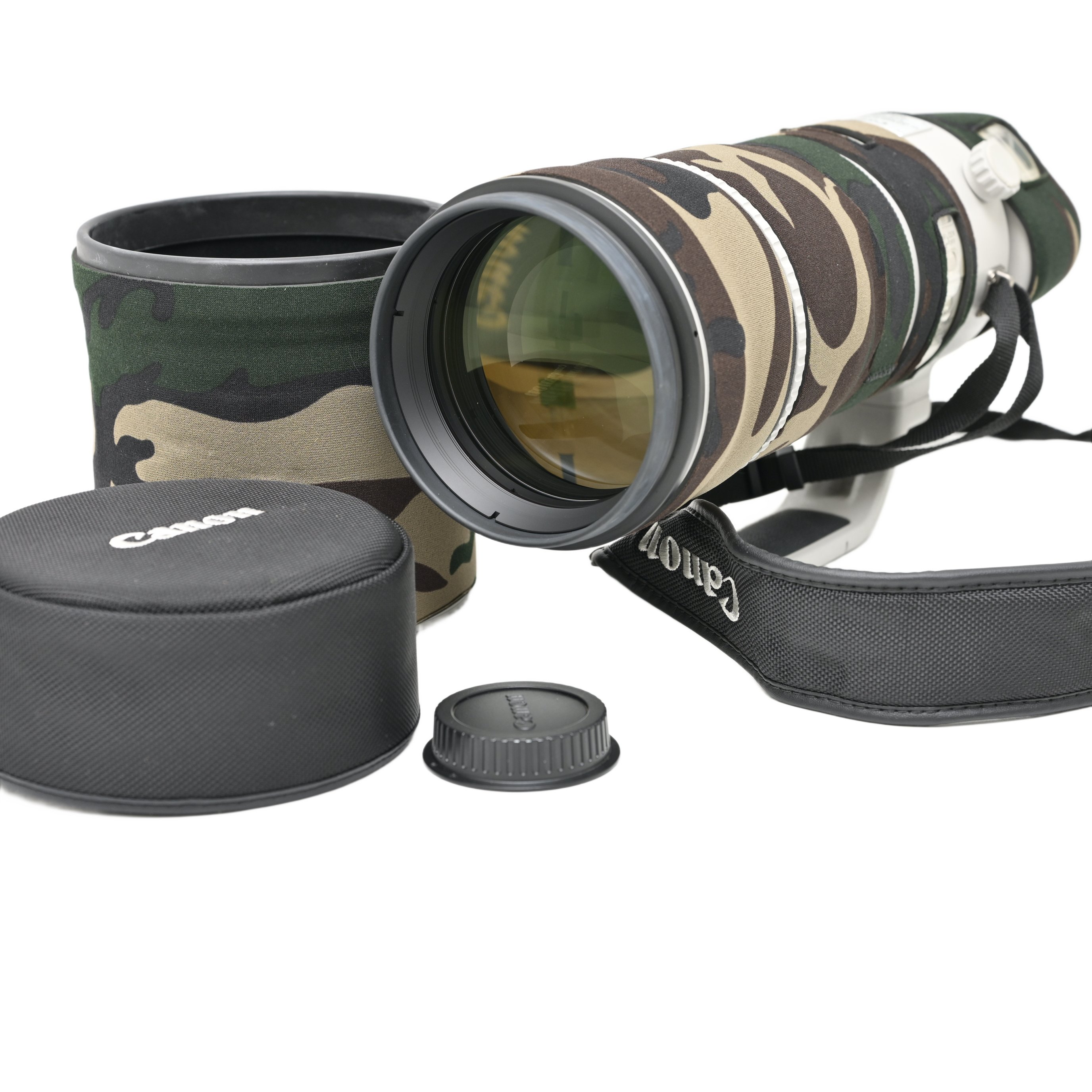 Canon EF200-400mm F4L IS USM エクステンダー 1.4×|内蔵テレコンが切り拓く、一瞬を逃さない超望遠の新境地