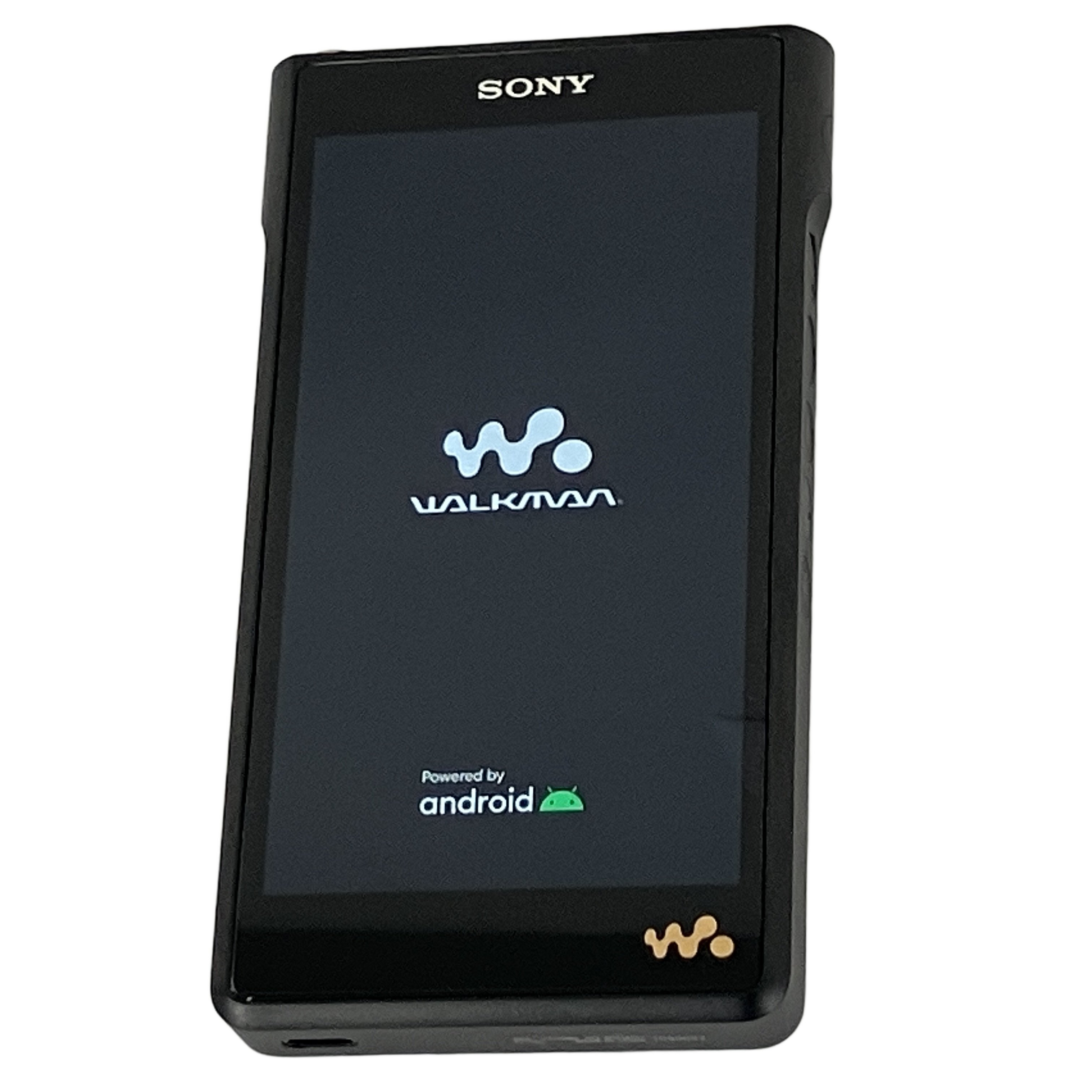 SONY NW-WM1AM2 WALKMAN ポータブルオーディオプレーヤー