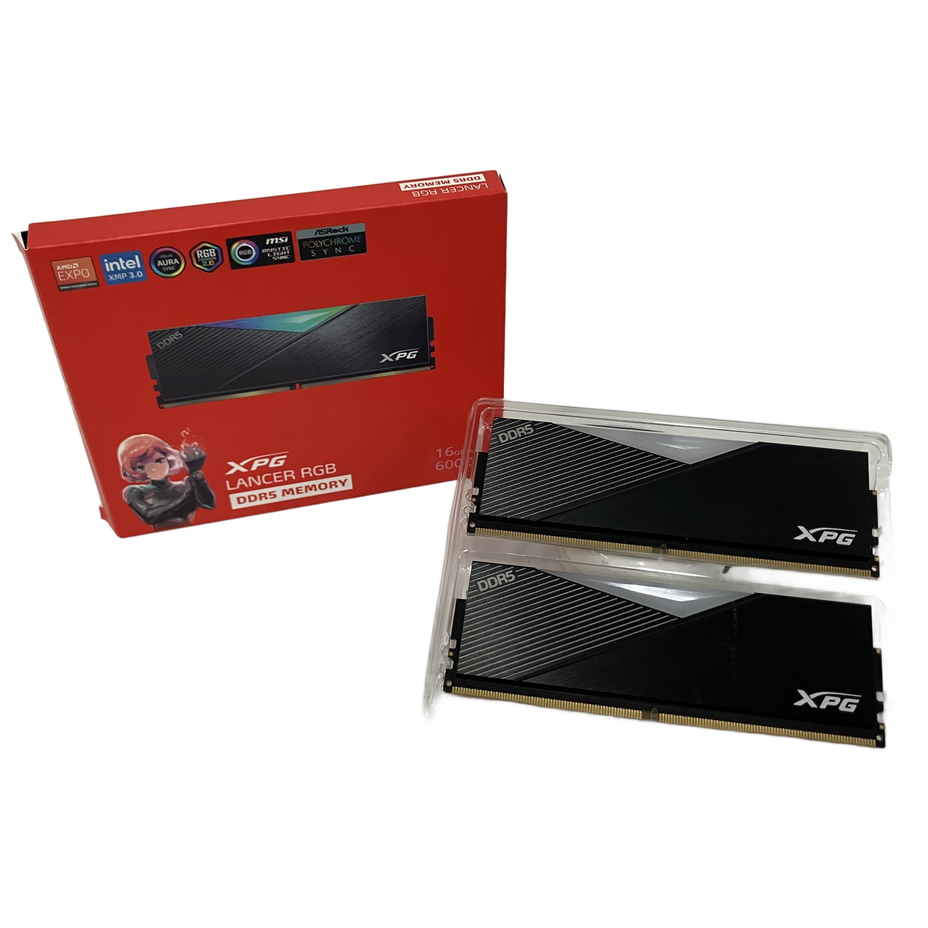 XPG DDR5 AX5U6000C3016G メモリ