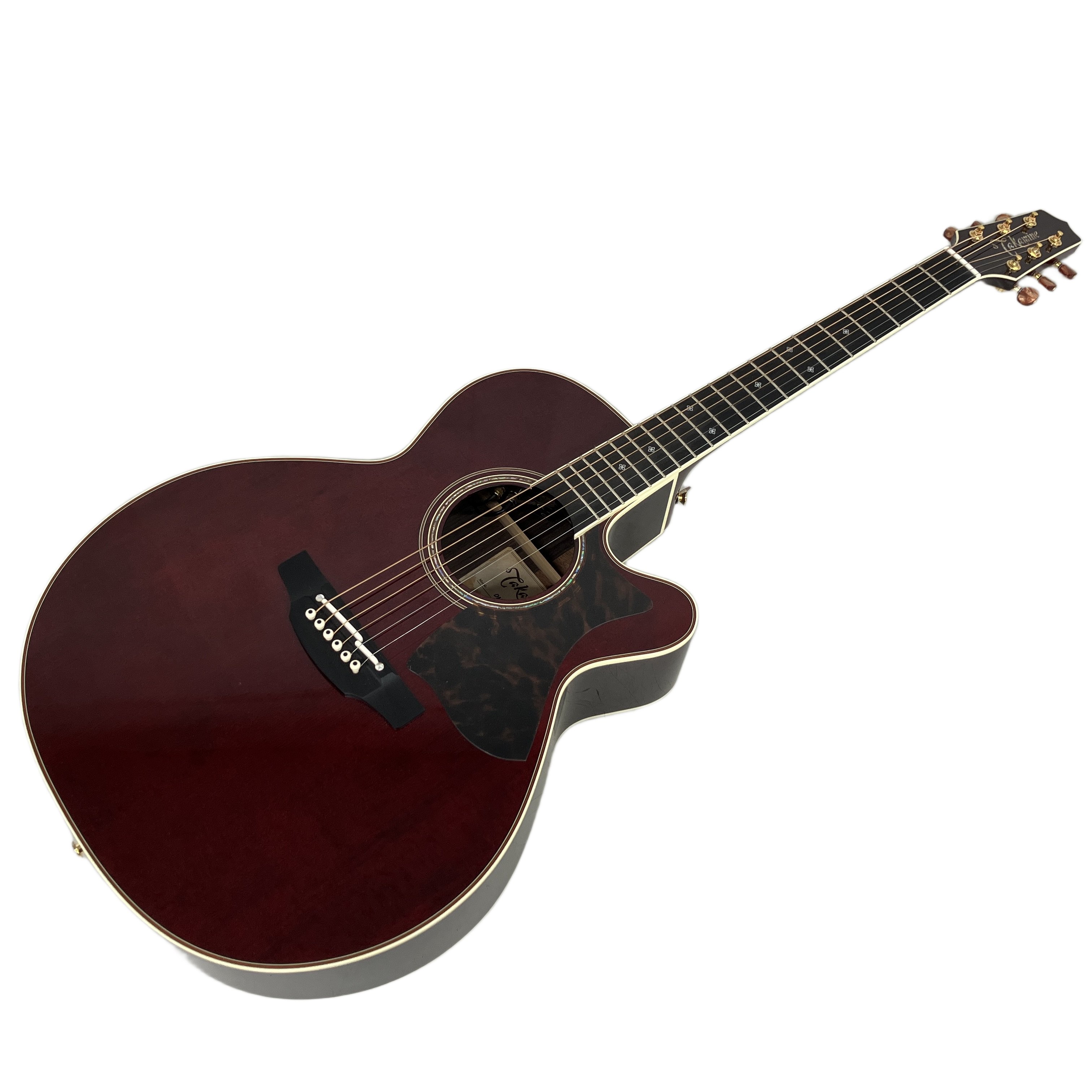 Takamine DMP50S WR エレクトリック・アコースティックギター