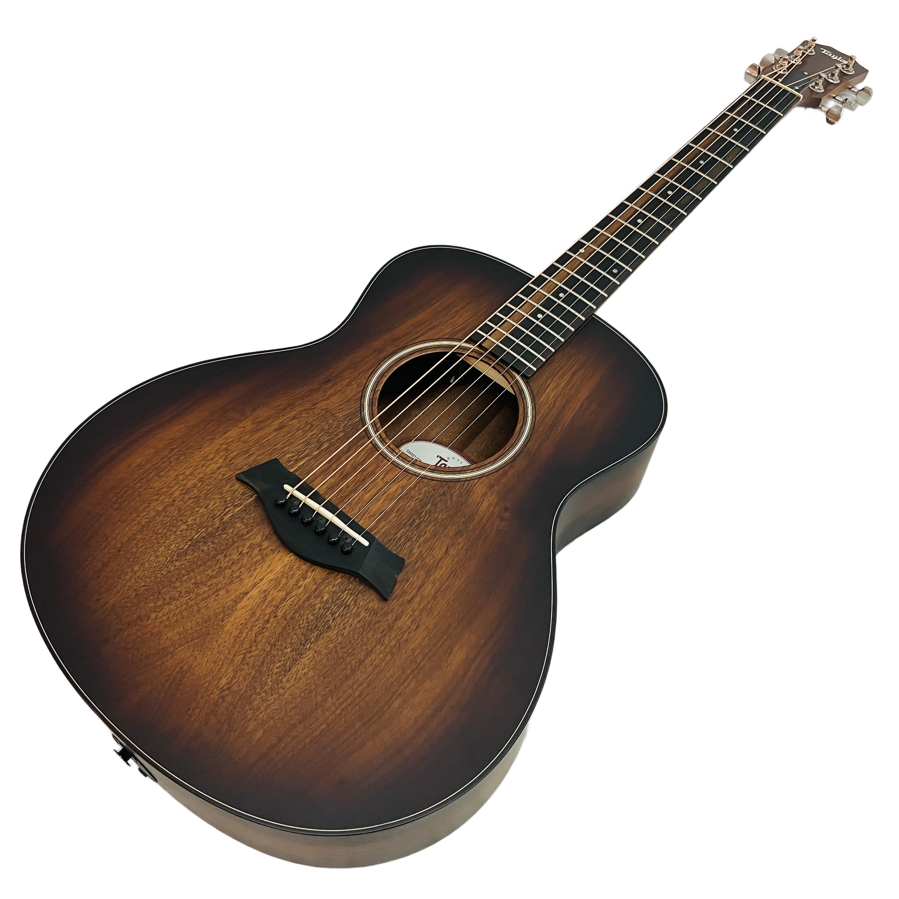 Taylor GS mini エレアコ