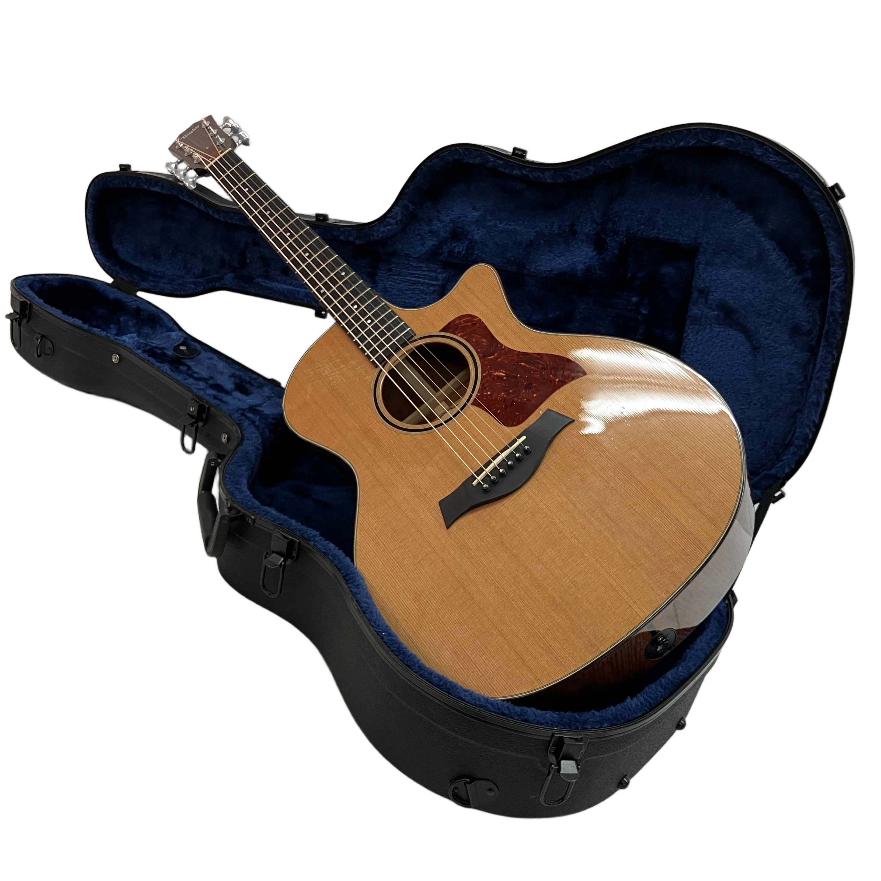 TAYLOR エレアコ 日本限定モデル