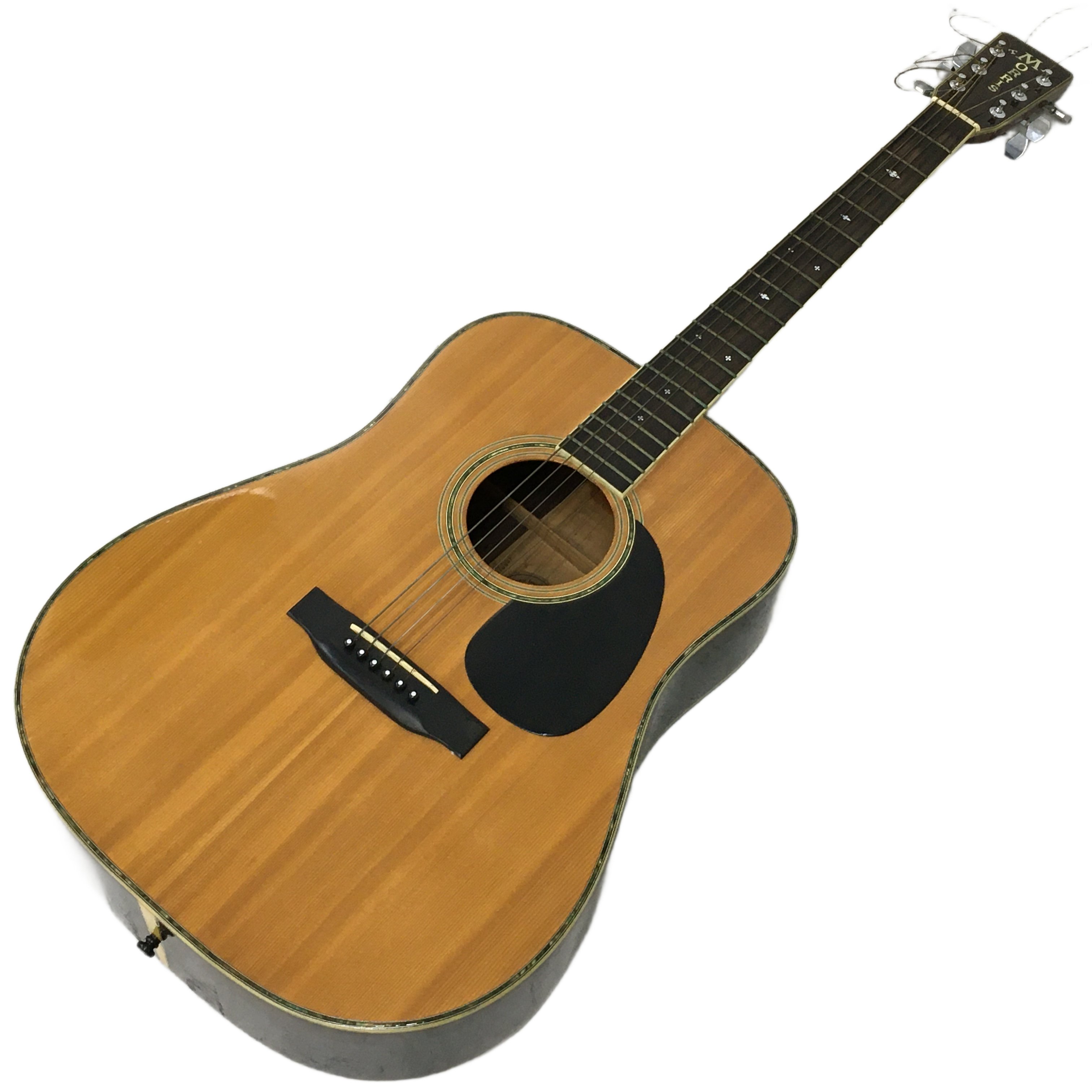 MORRIS TF W50 アコースティックギター