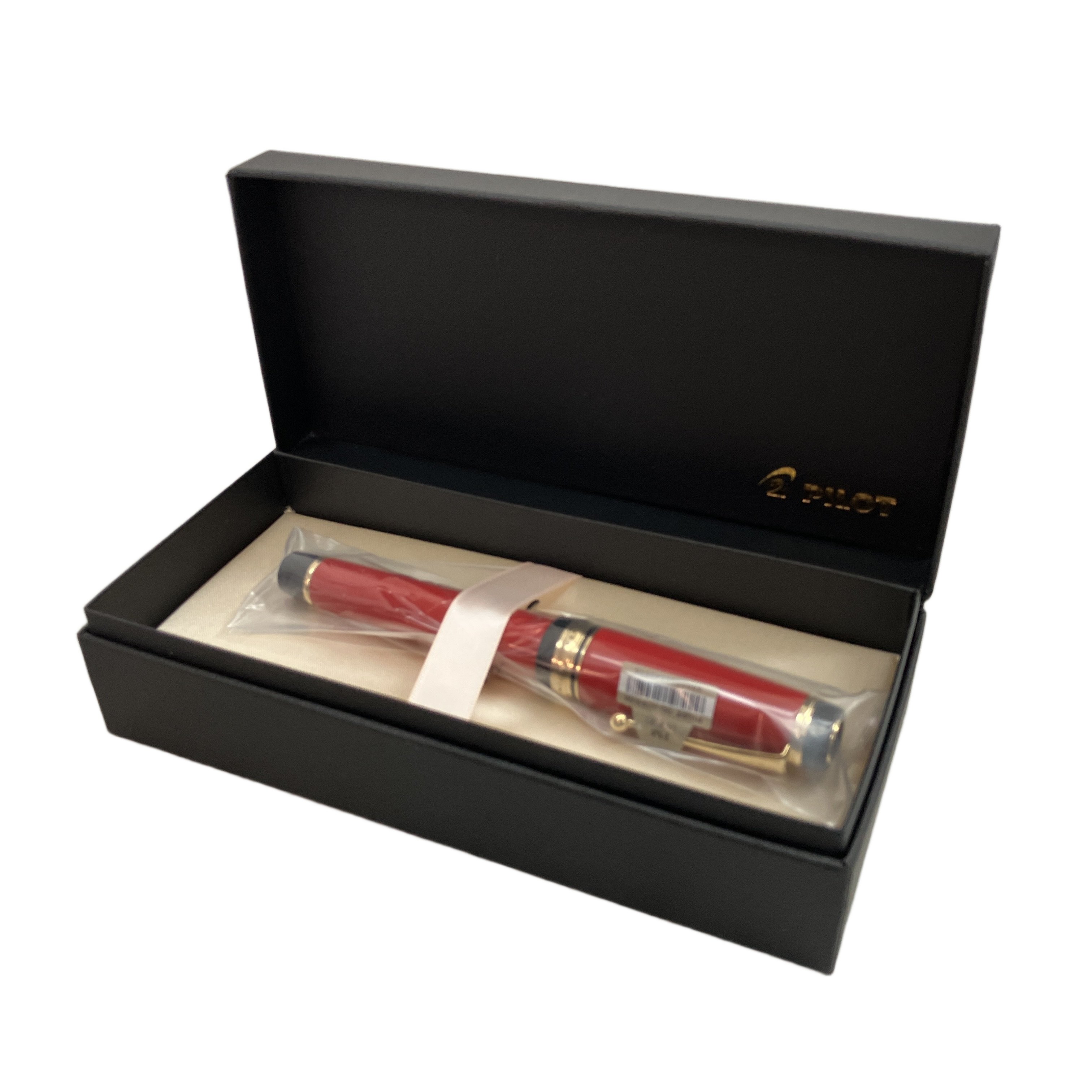 PILOT FKV-88SR-R-FM 万年筆 中細字 カスタム