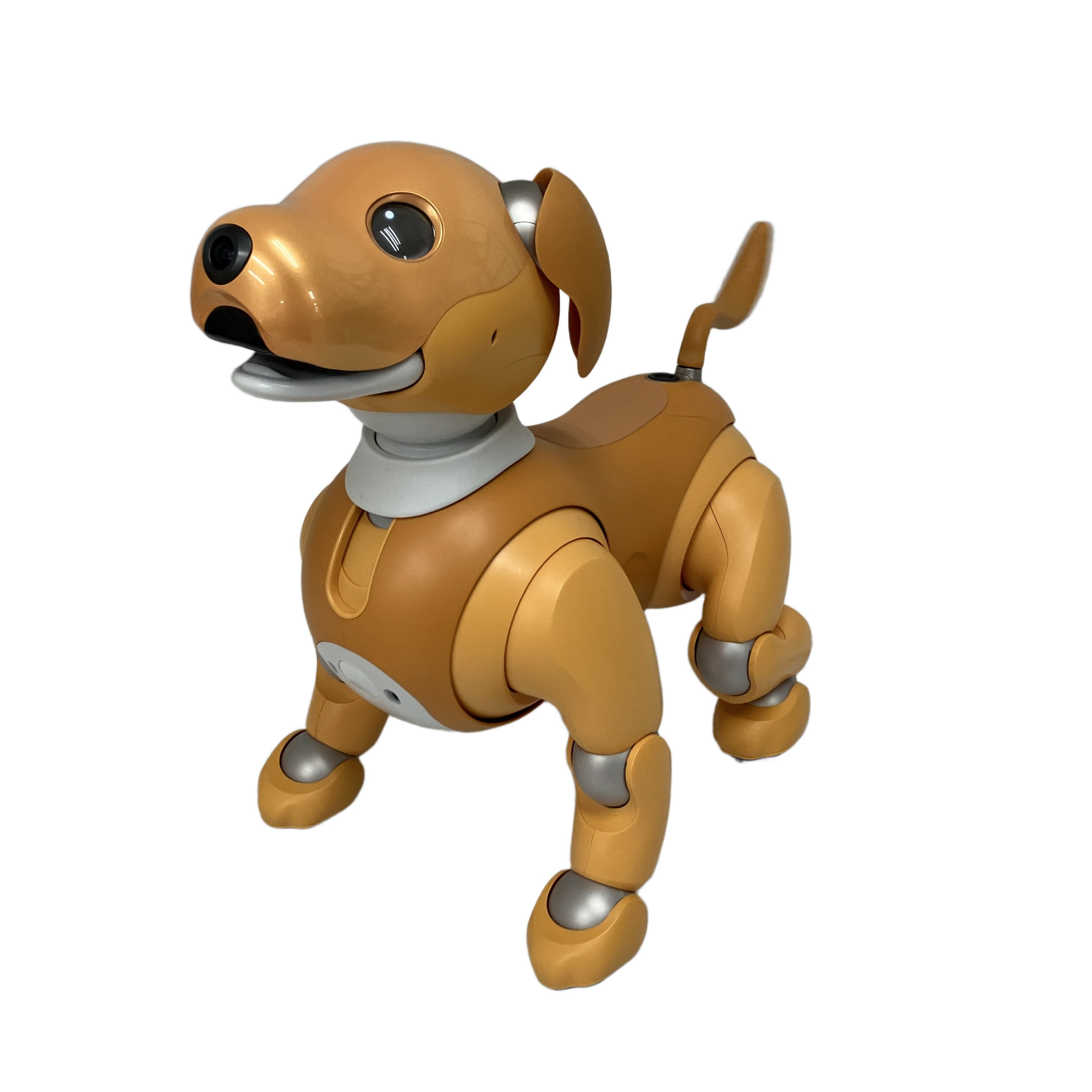 SONY aibo ERS-1000 キャラメルエディション|2020年限定、甘く優しい「キャラメル・ブリュレ」カラーの癒やし系aibo