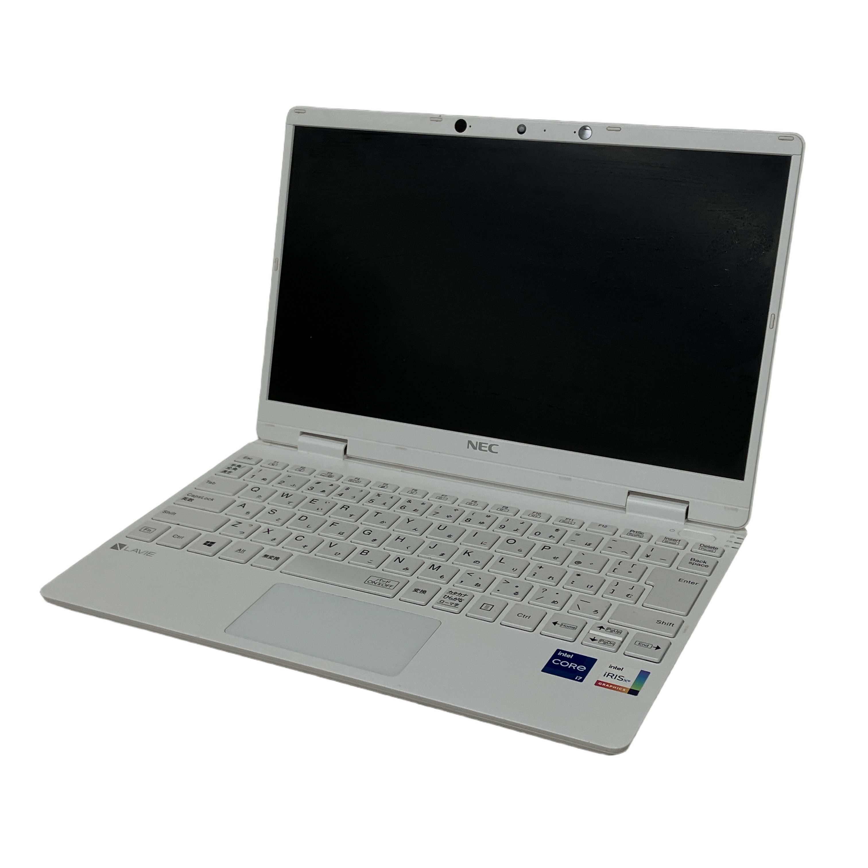 NEC LAVIE Direct N12 PC-GN21767AS ノートパソコン 12.5インチ