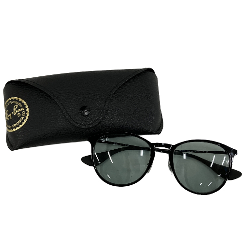 RAY-BAN ERIKA RB3539 サングラス
