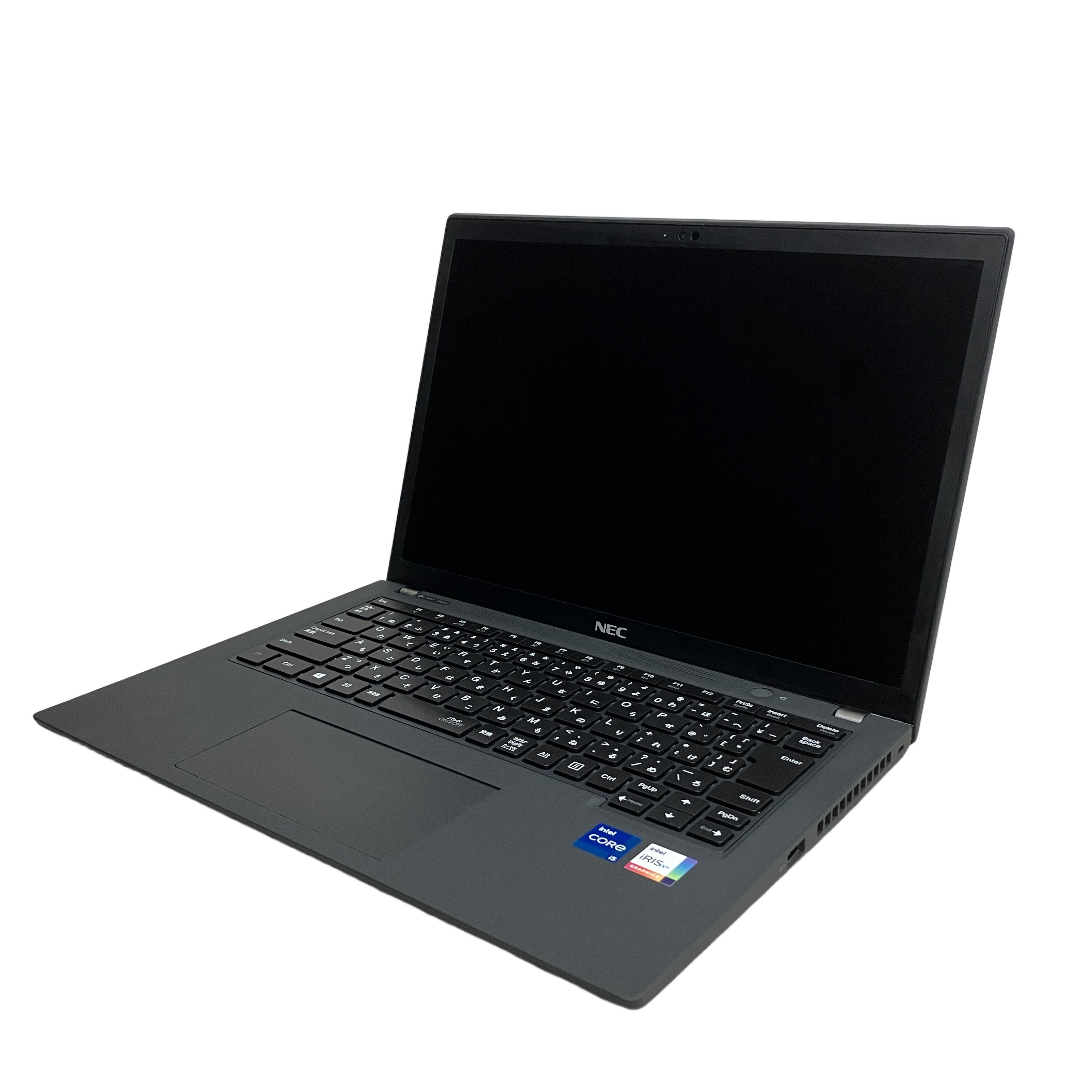 NEC LAVIE Direct PC-GN245NYDS ノートパソコン 13.3インチ