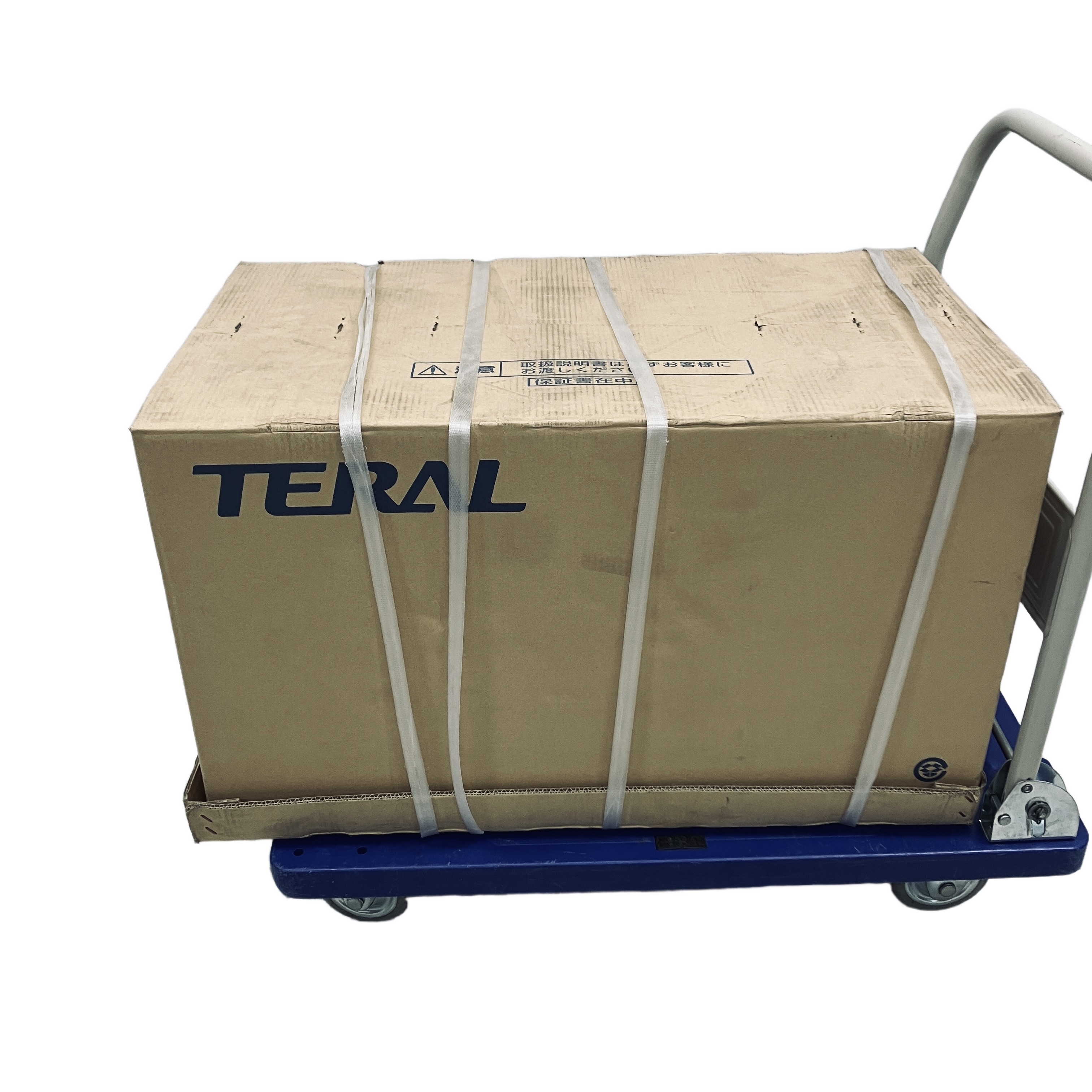 TERAL PG-607FW-5 井戸ポンプ 50Hz 600W