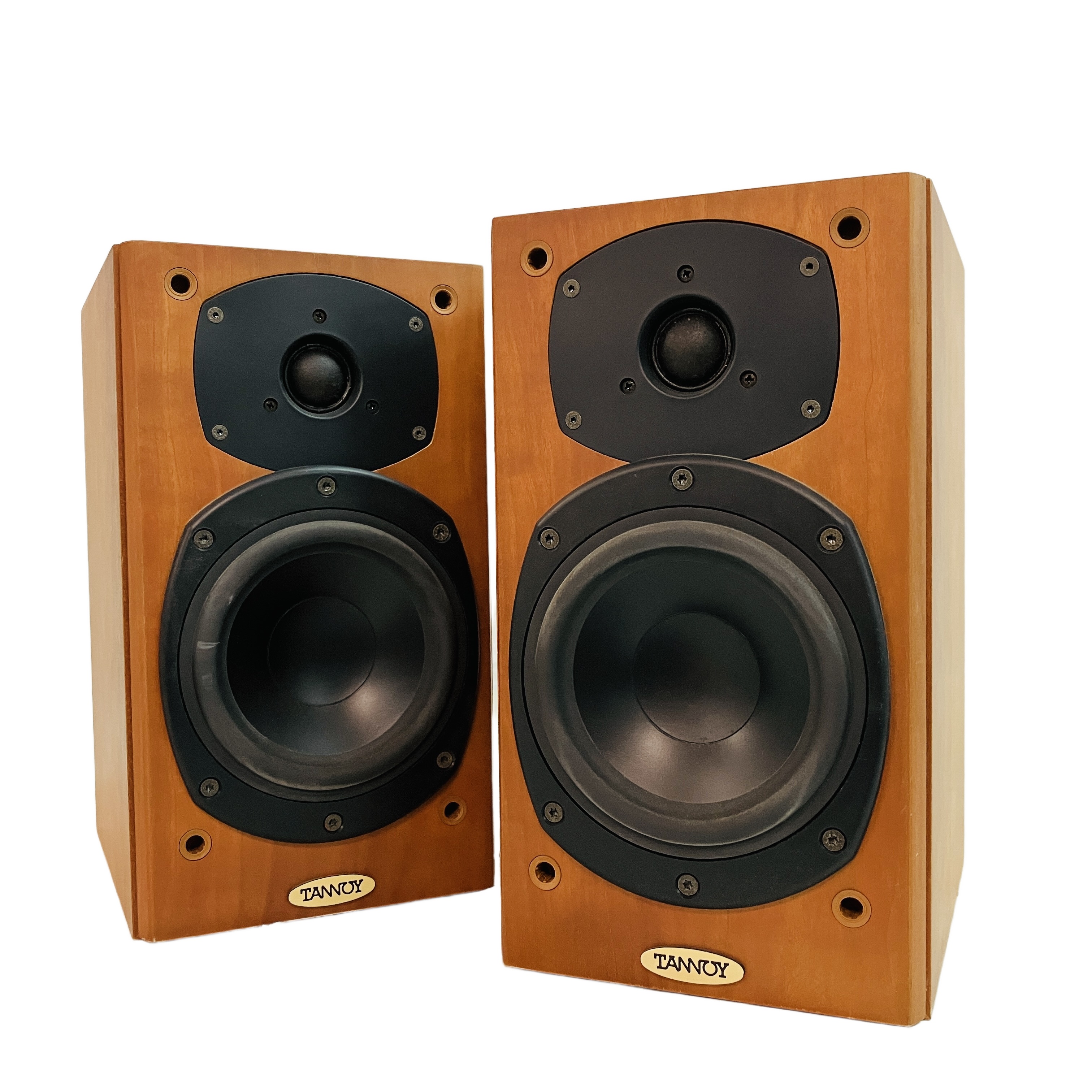 TANNOY Revolution R1 スピーカー