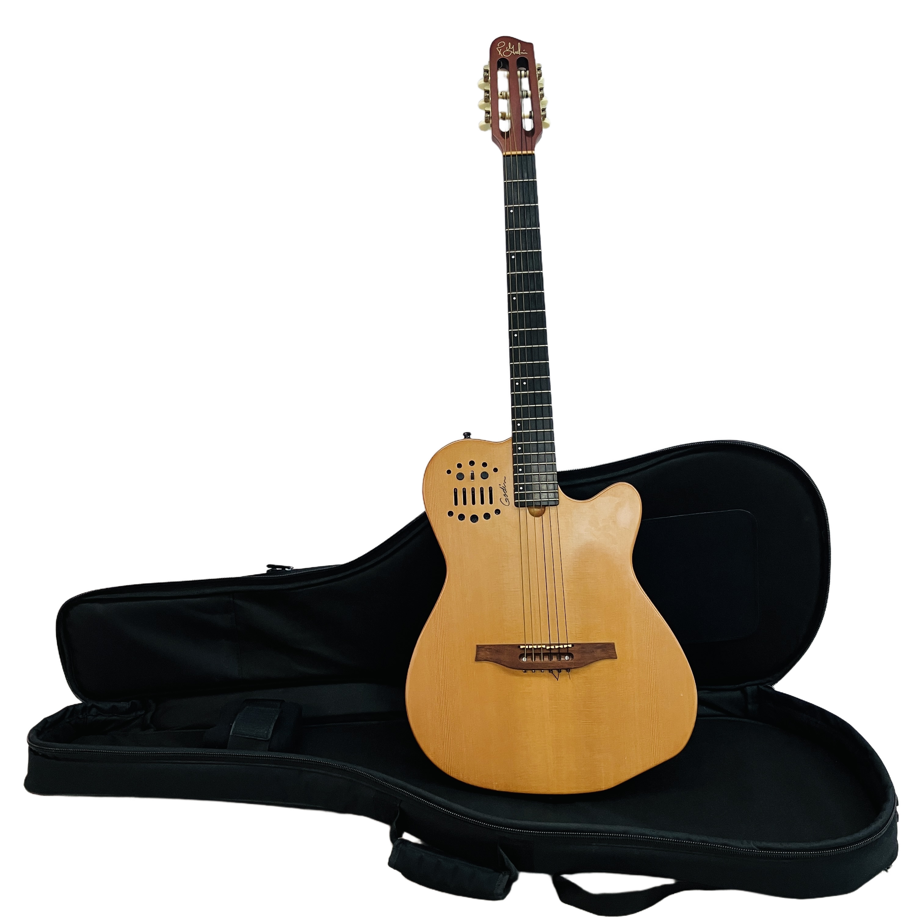 GODIN Multiac ACS Slim SA エレガットギター