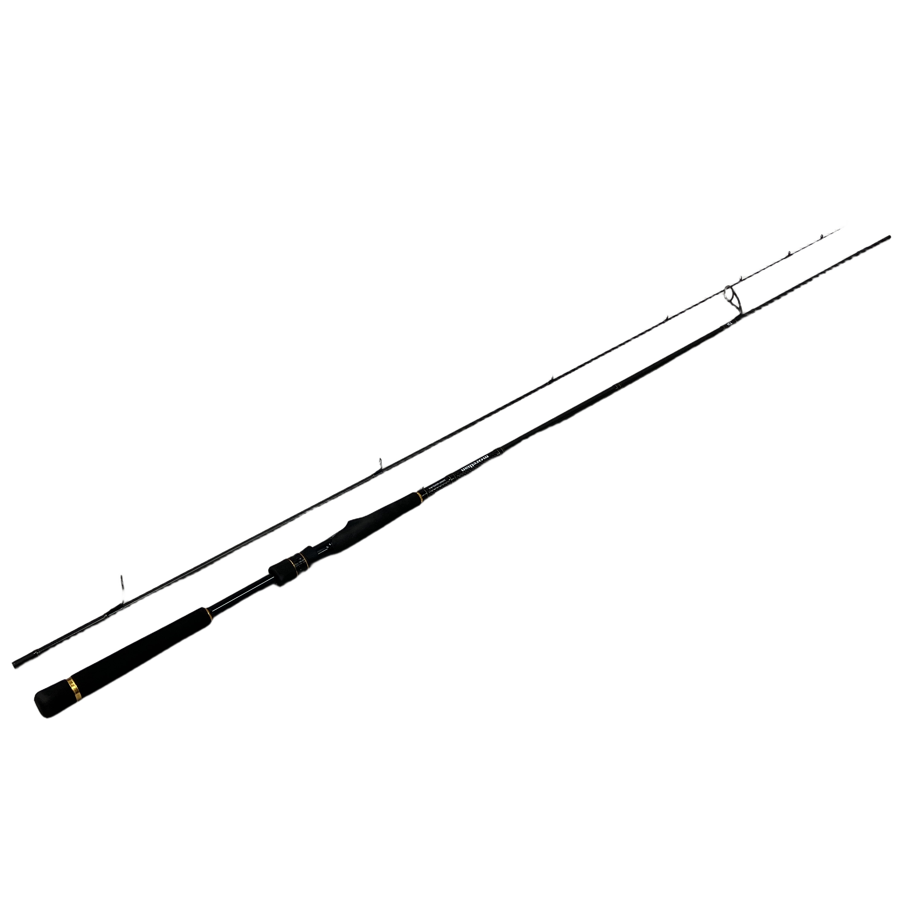 DAIWA MORETHAN EXPERT AGS 93L/M-S ロッド
