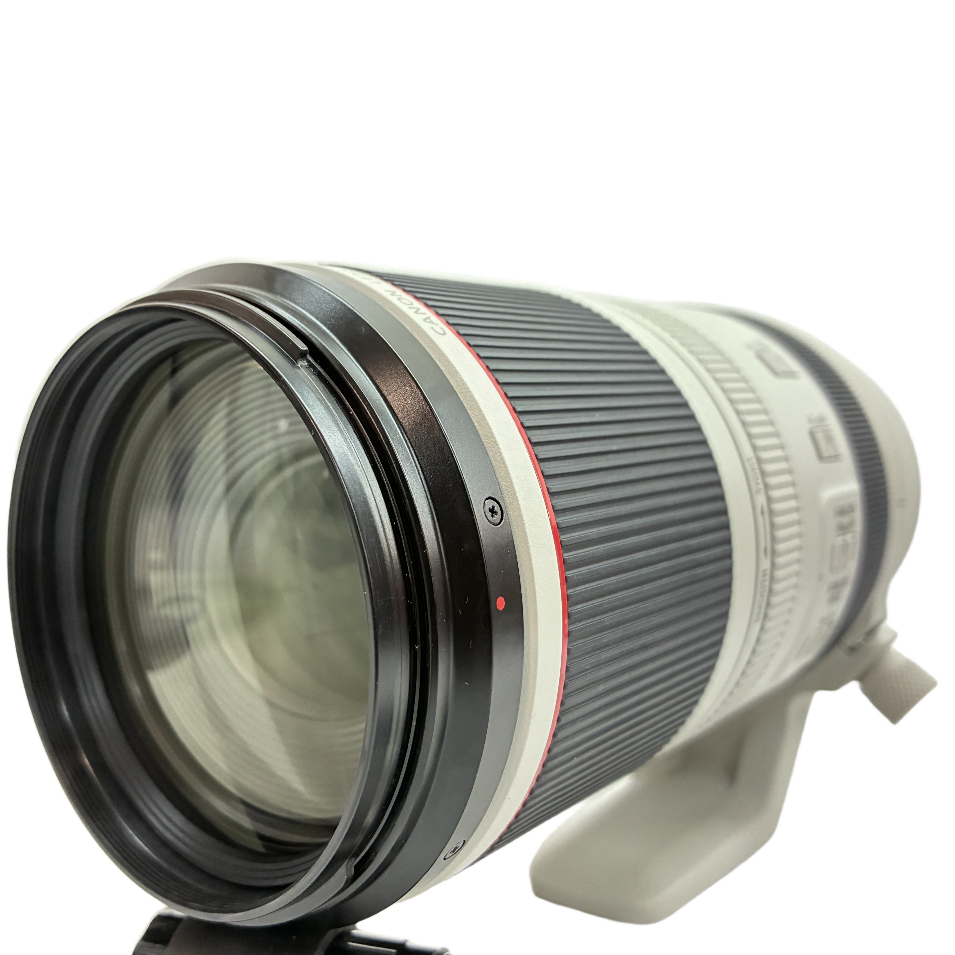 Lレンズならではの圧倒的な描写力と、100-500mmの超望遠域をカバーする機動性に優れた高性能ズームレンズ。