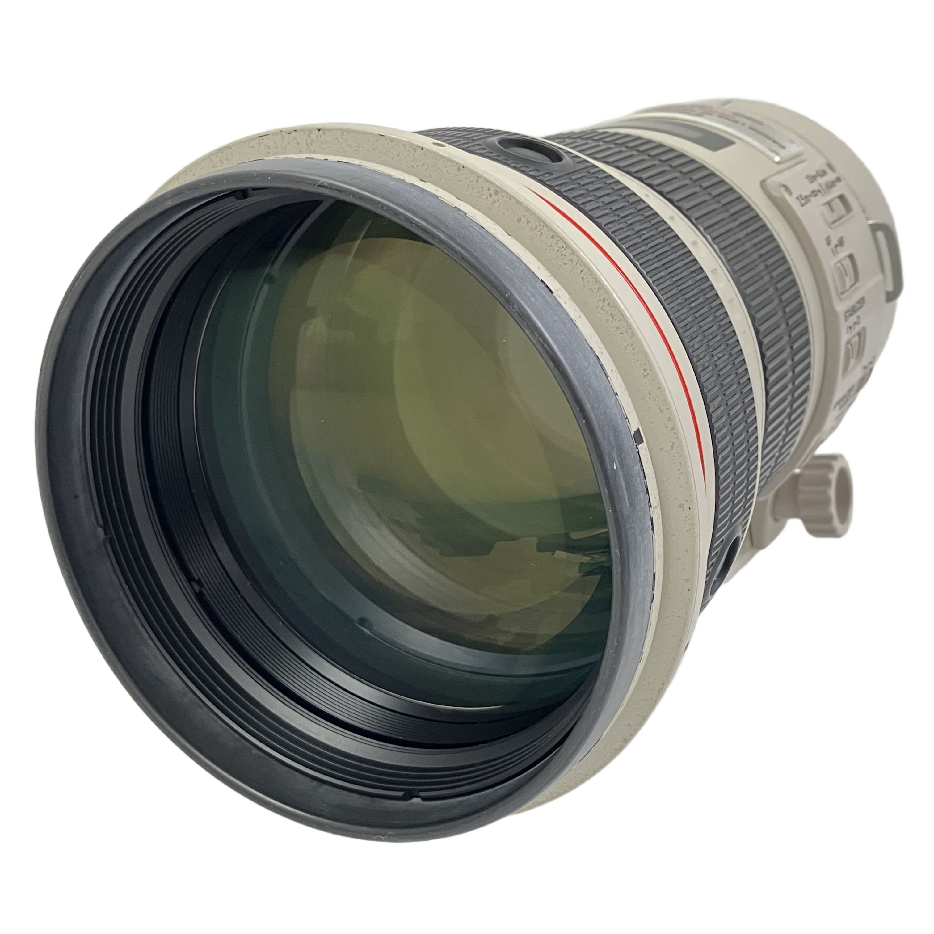 Canon EF 300mm F2.8L IS USM:プロが愛し続ける超望遠単焦点の金字塔。とろけるような至高のボケ味と、鋭いピント面が織りなす唯一無二の世界。