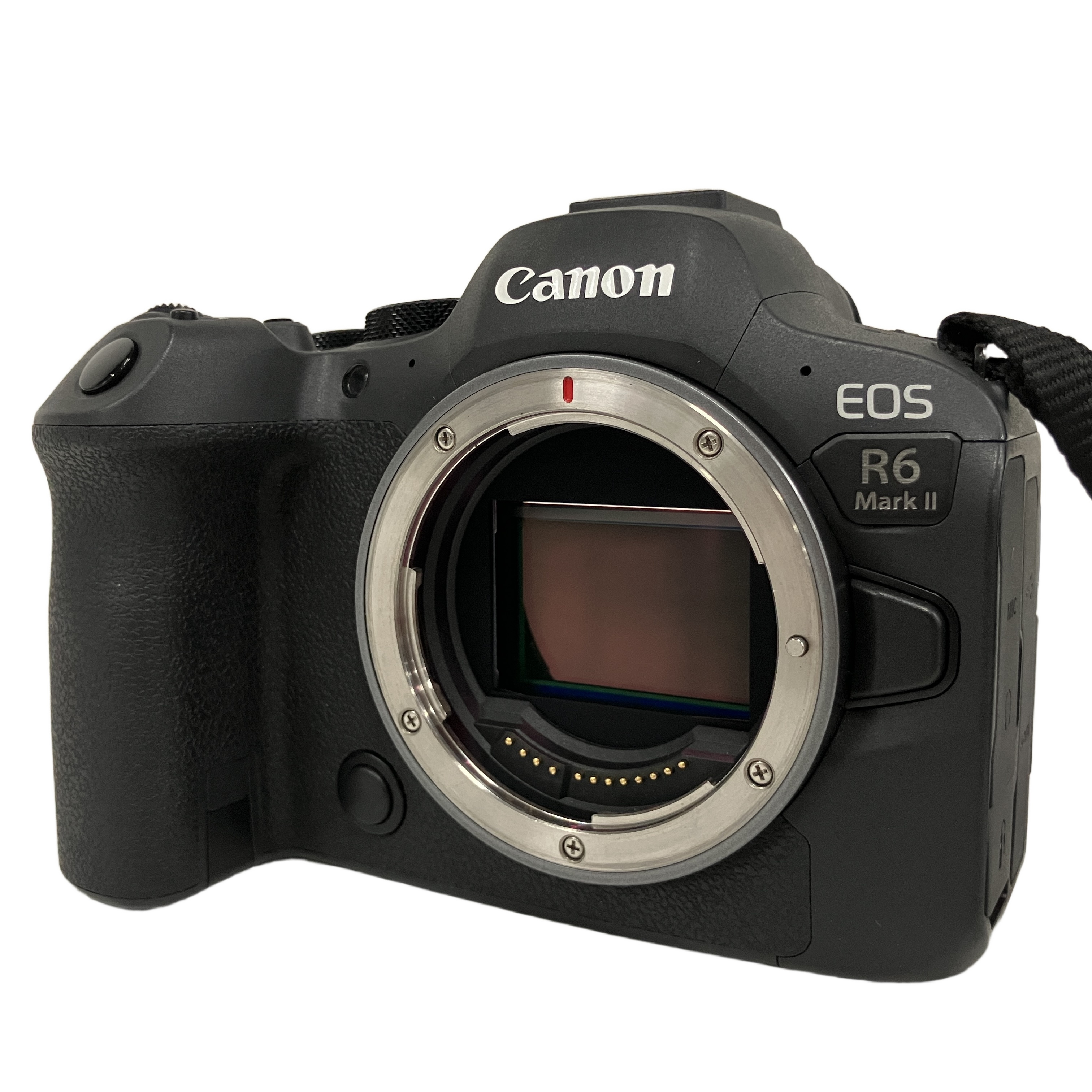 CANON EOS R6 Mark II ミラーレス一眼カメラ