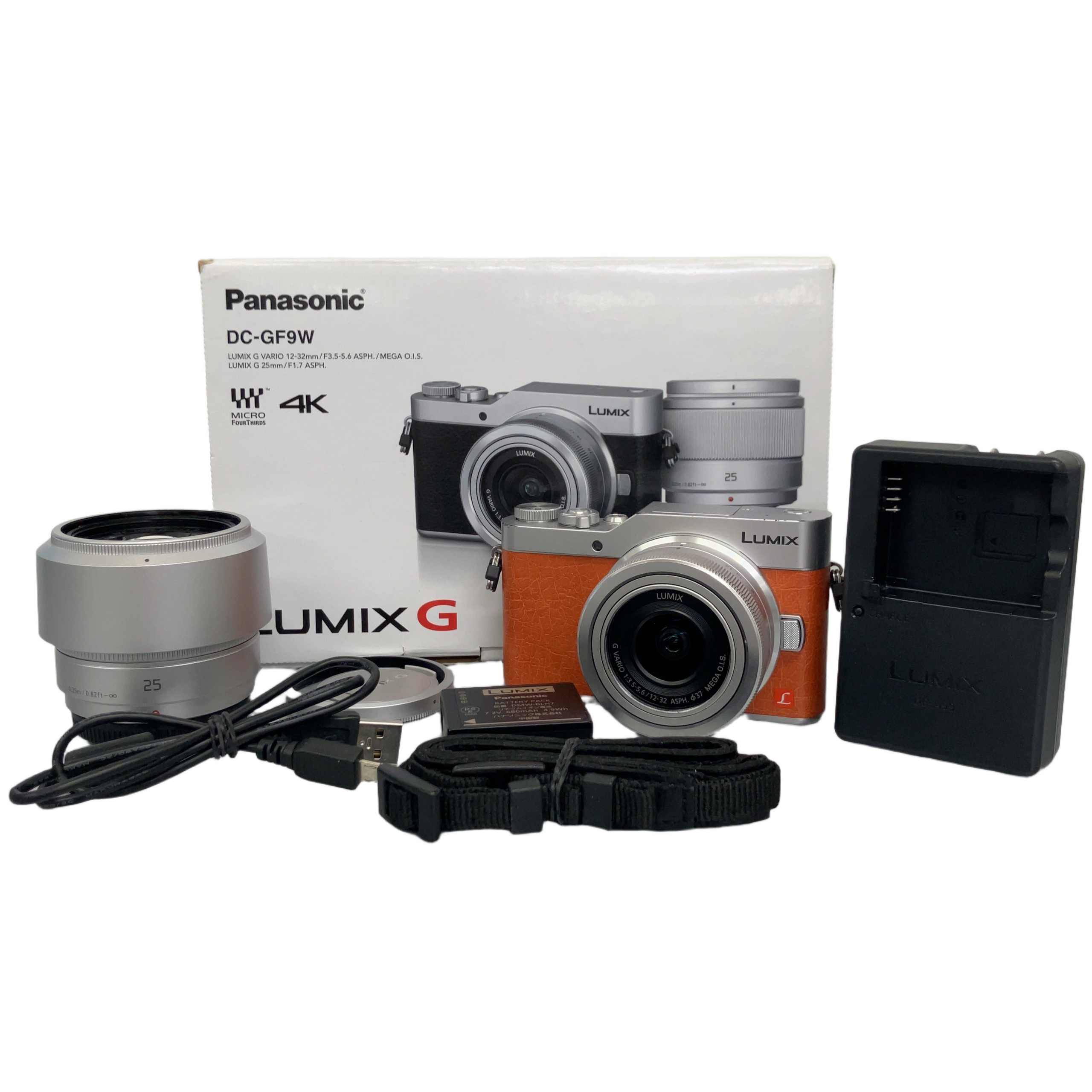 PANASONIC LUMIX DC-GF9 ミラーレス一眼カメラ 12-32mm/25mm