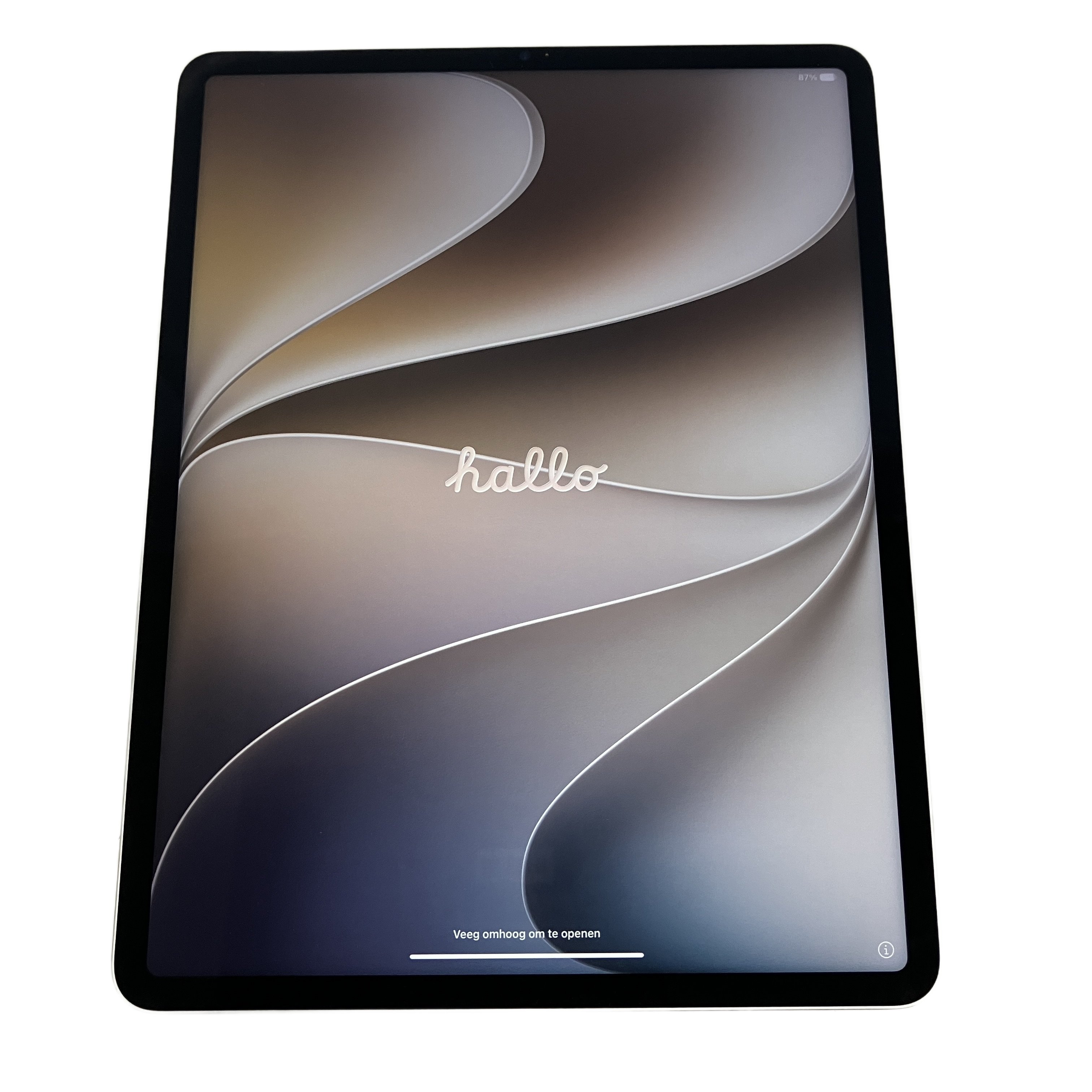 Apple iPad Pro A2378 FHNJ3/A 第5世代 256GB Apple pencil A2051付き アップル タブレット 中古