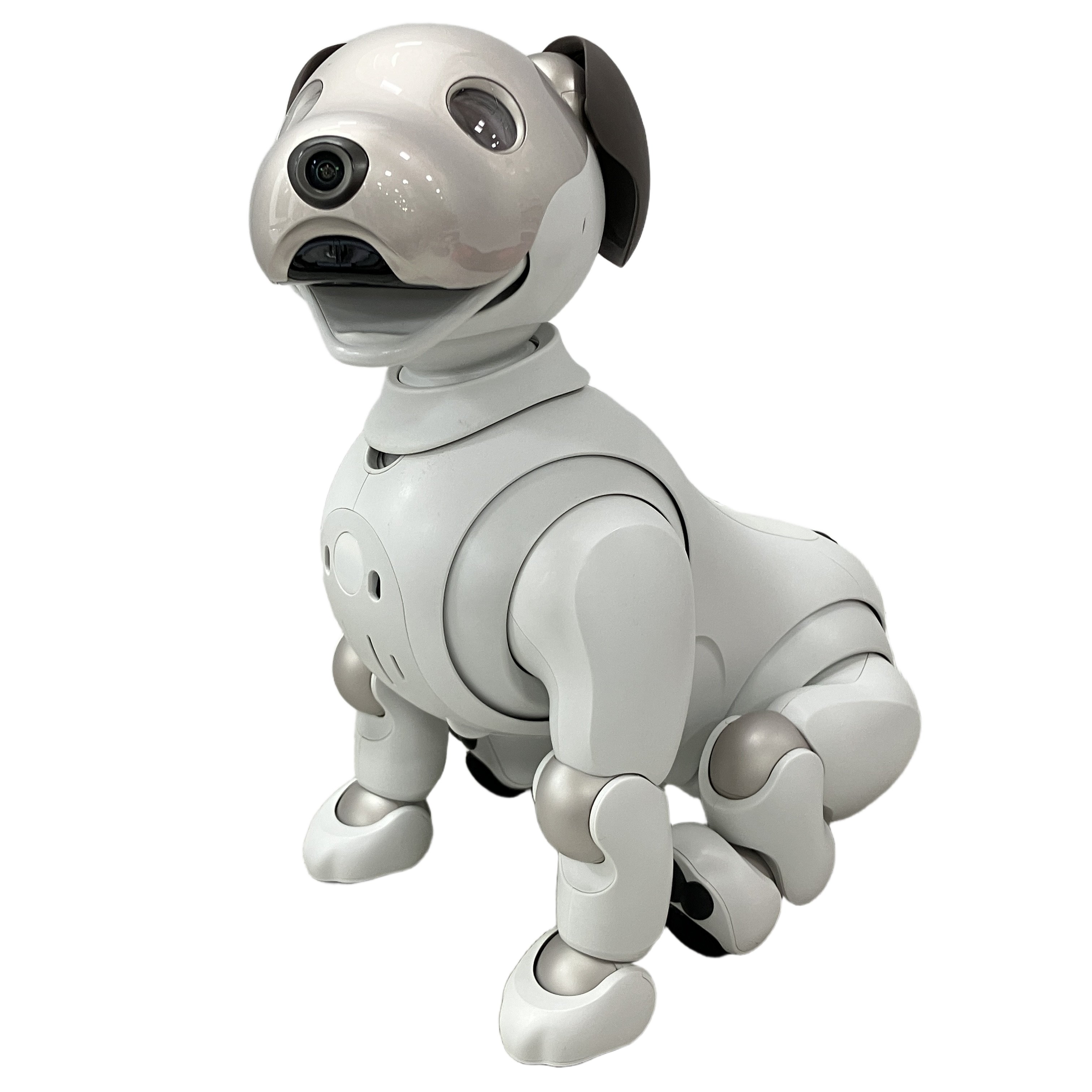 Sony aibo ERS-1000 アイボ 自律型エンタテインメントロボット 犬 ペット ソニー 中古