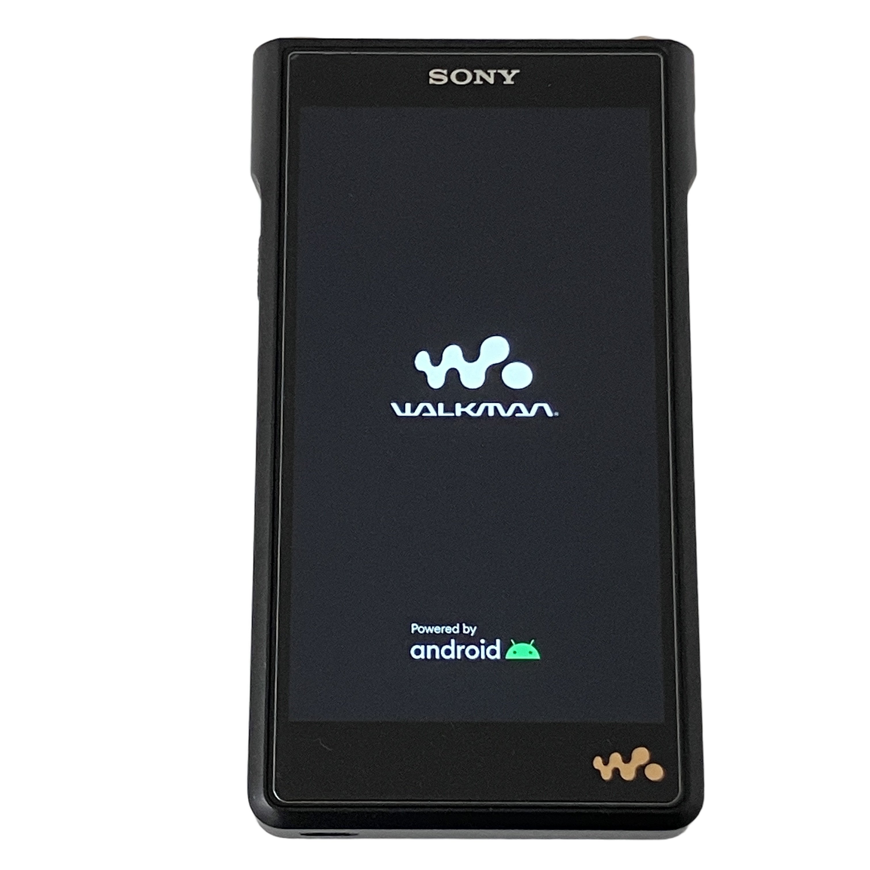 SONY NW-WM1AM2 Walkman ウォークマン DAP デジタル ミュージックプレイヤー ソニー 音響機材 中古