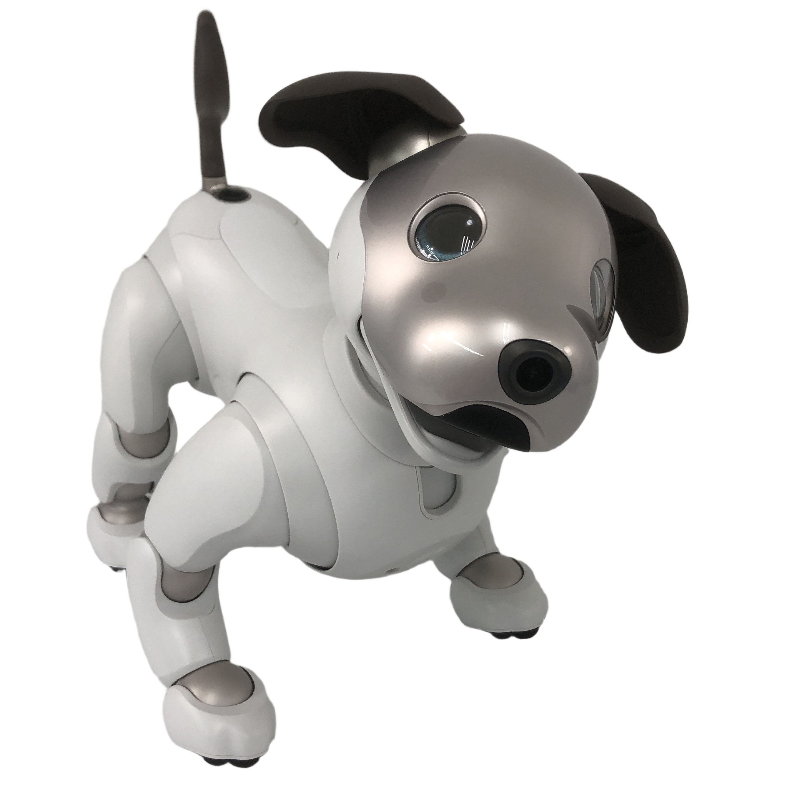 Sony aibo ERS-1000 アイボ 自律型エンタテインメントロボット 犬 ペット ソニー 中古