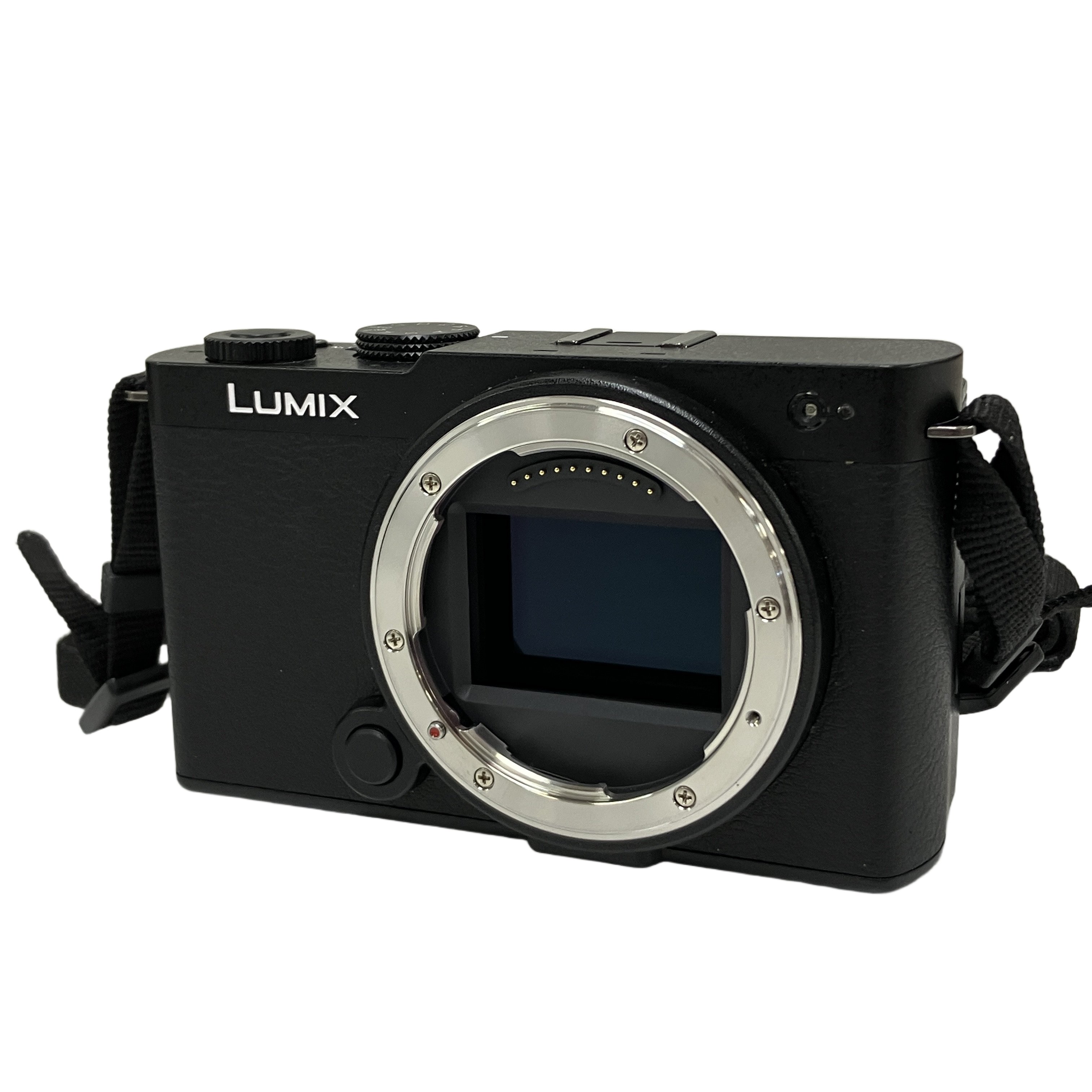 Panasonic LUMIX s9 DC-S9 ミラーレス一眼カメラ パナソニック 中古