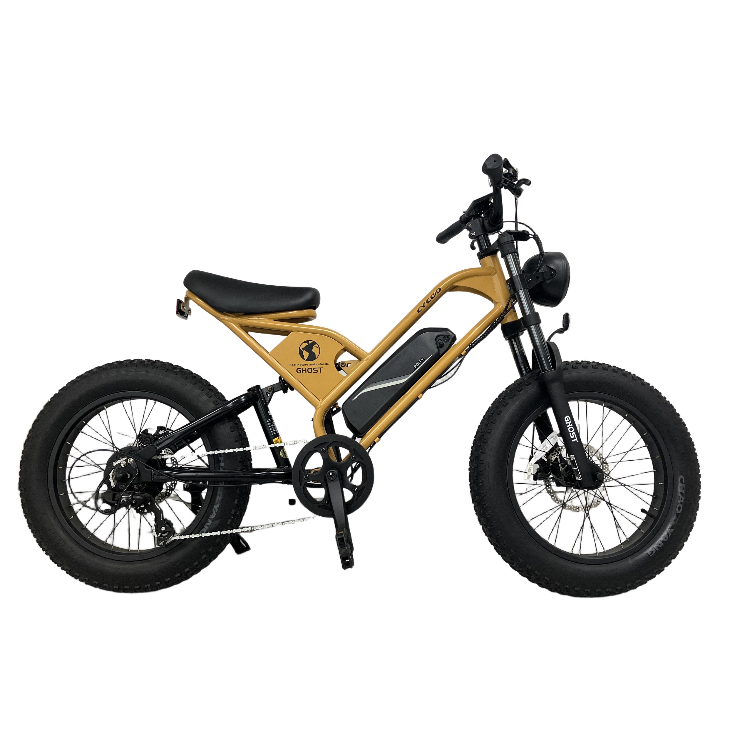 CYCOO GHOST TDN-237L 電動アシスト自転車 ファットバイク 20インチ 中古