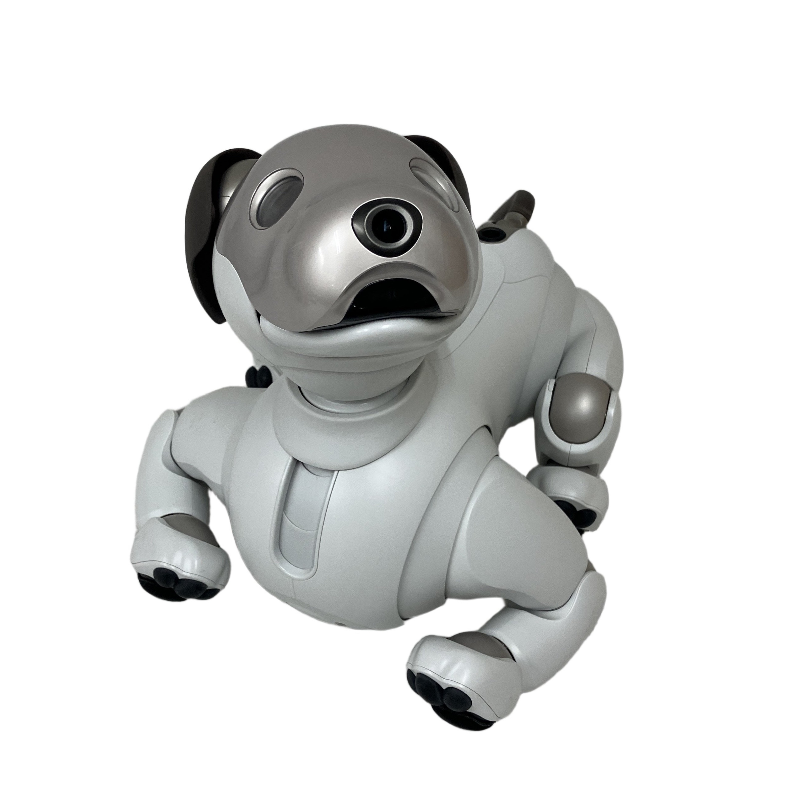 SONY ERS-1000 aibo エンターテインメントロボット アイボリーホワイト ソニー アイボ 家電 中古