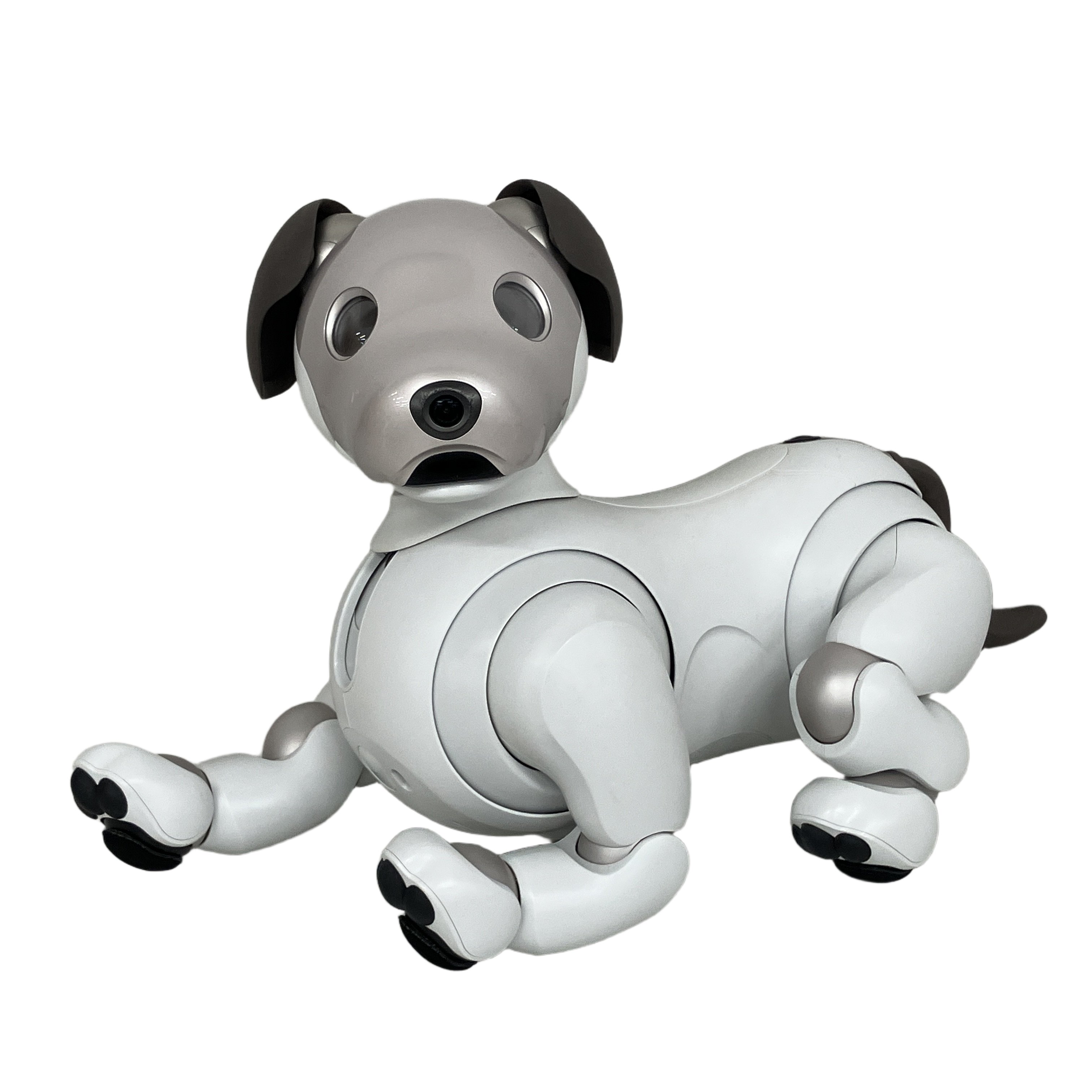 Sony aibo ERS-1000 アイボ 自律型エンタテインメントロボット 犬 ペット ソニー 中古