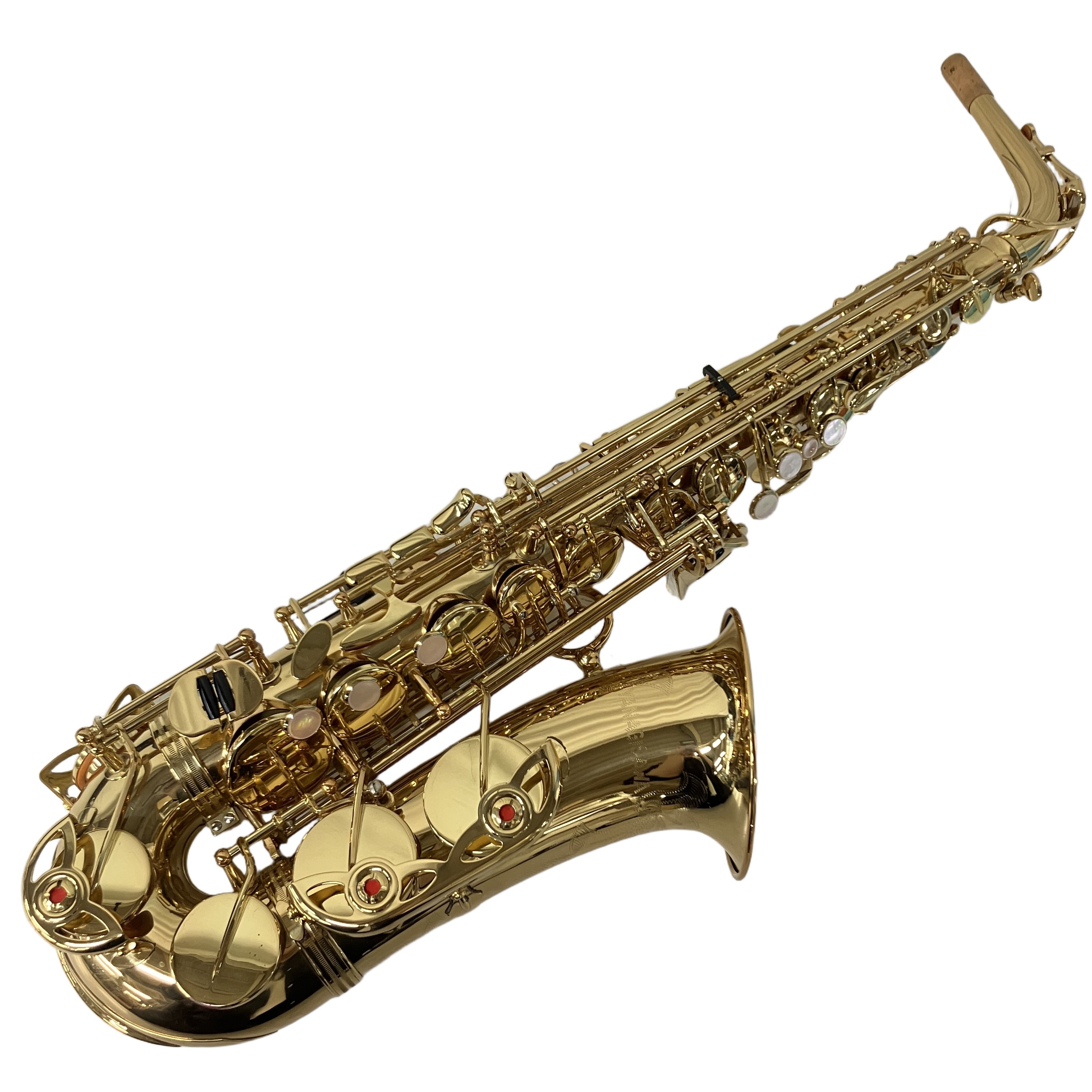 YANAGISAWA A-900 アルトサックス ヤナギサワ サクソフォン 専用ケース付き 木管楽器 吹奏楽