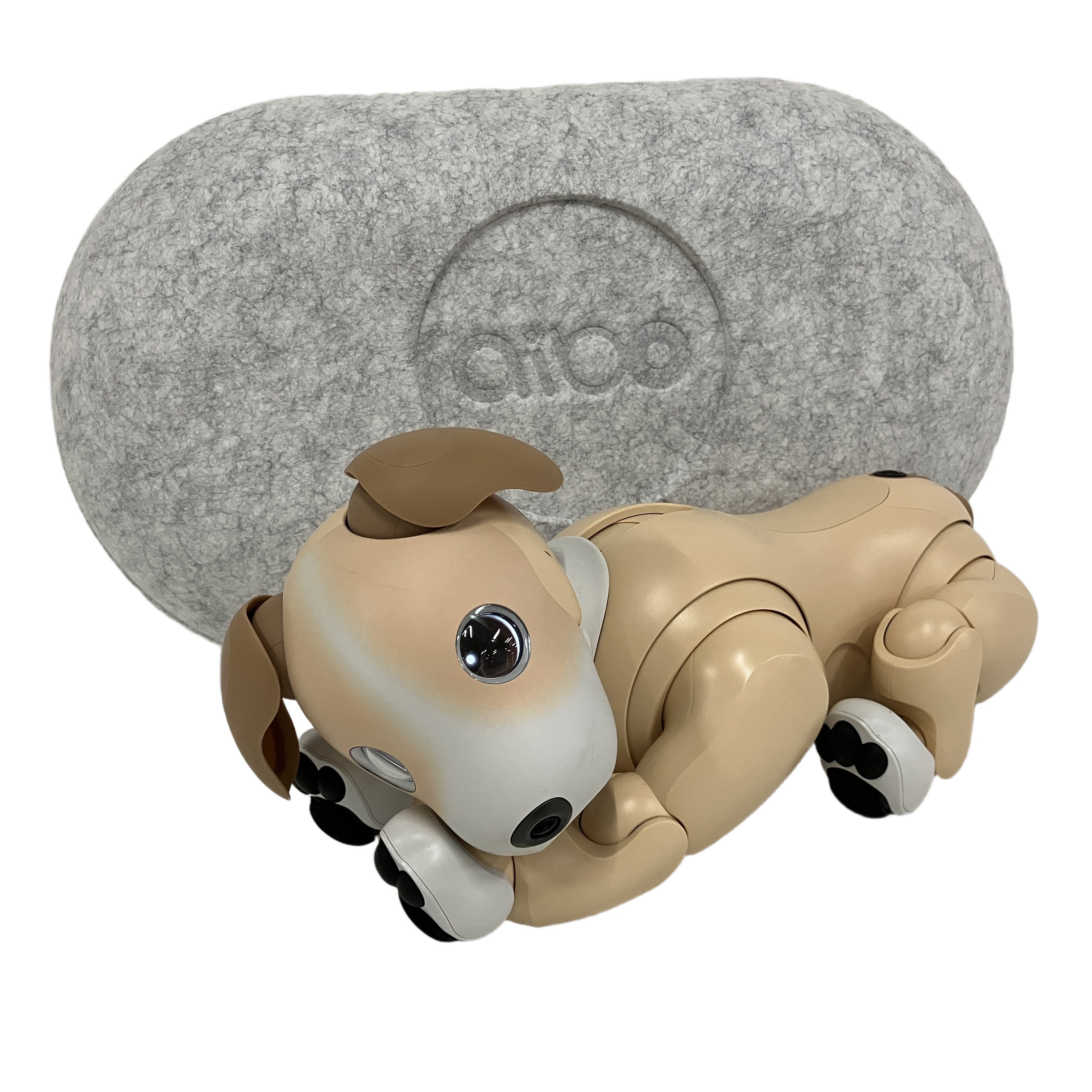 ★限定カラー SONY ERS-1000 aibo きなこエディション 自律型犬型ロボット★