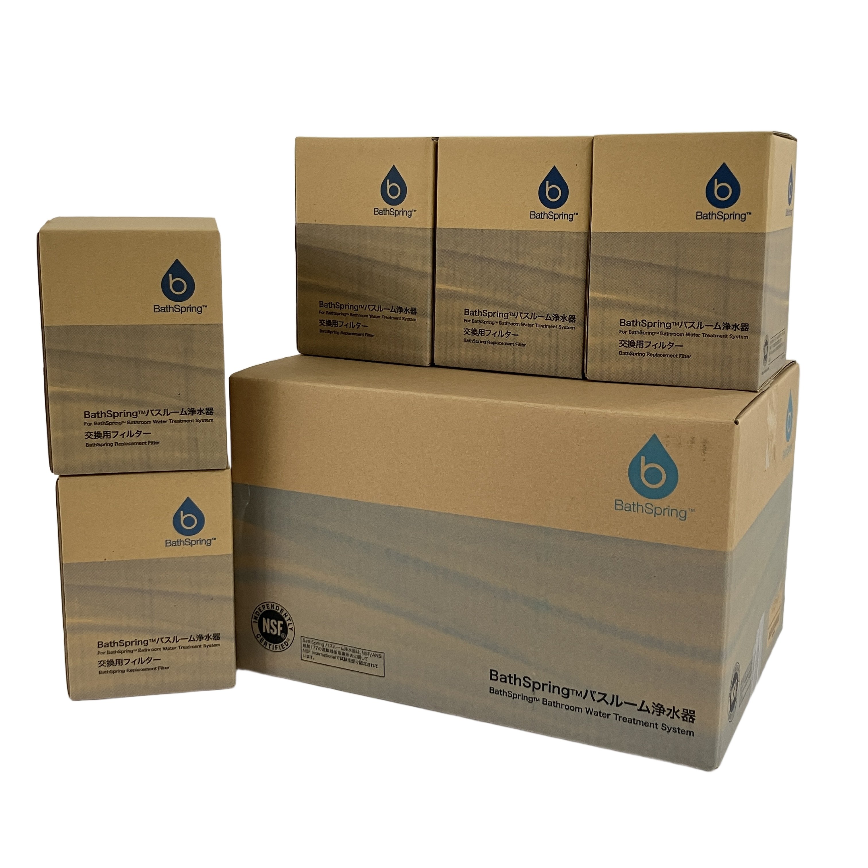 Amway BathSpring バスルーム浄水器 本体 アムウェイ お風呂用浄水器 交換用フィルター5個付 中古 美品