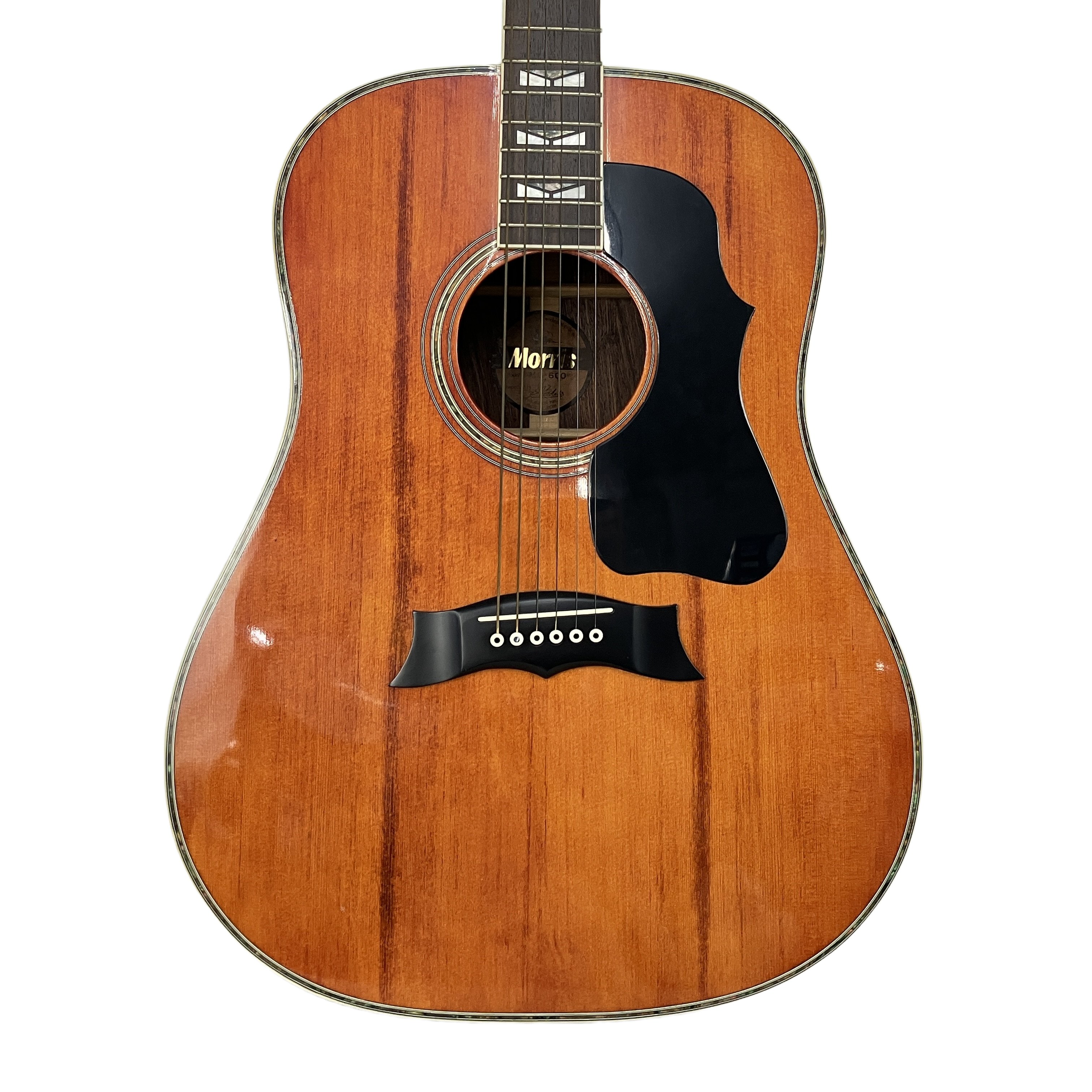 Morris MG-600 アコースティックギター アコギ モーリス 弦楽器 中古 訳あり
