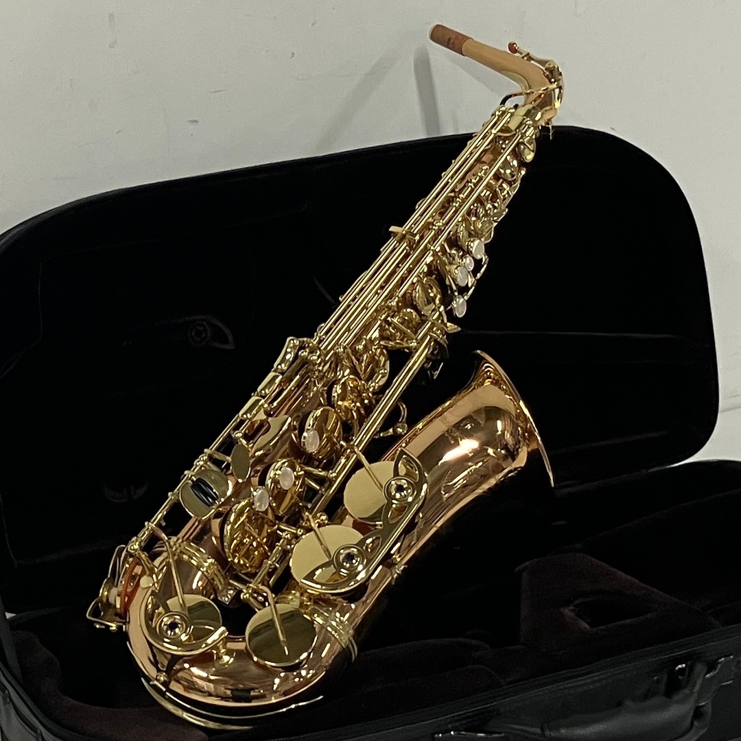 YANAGISAWA ヤナギサワ A-902 アルトサックス ハードケース付 マウスピース2点セット 管楽器 中古 美品